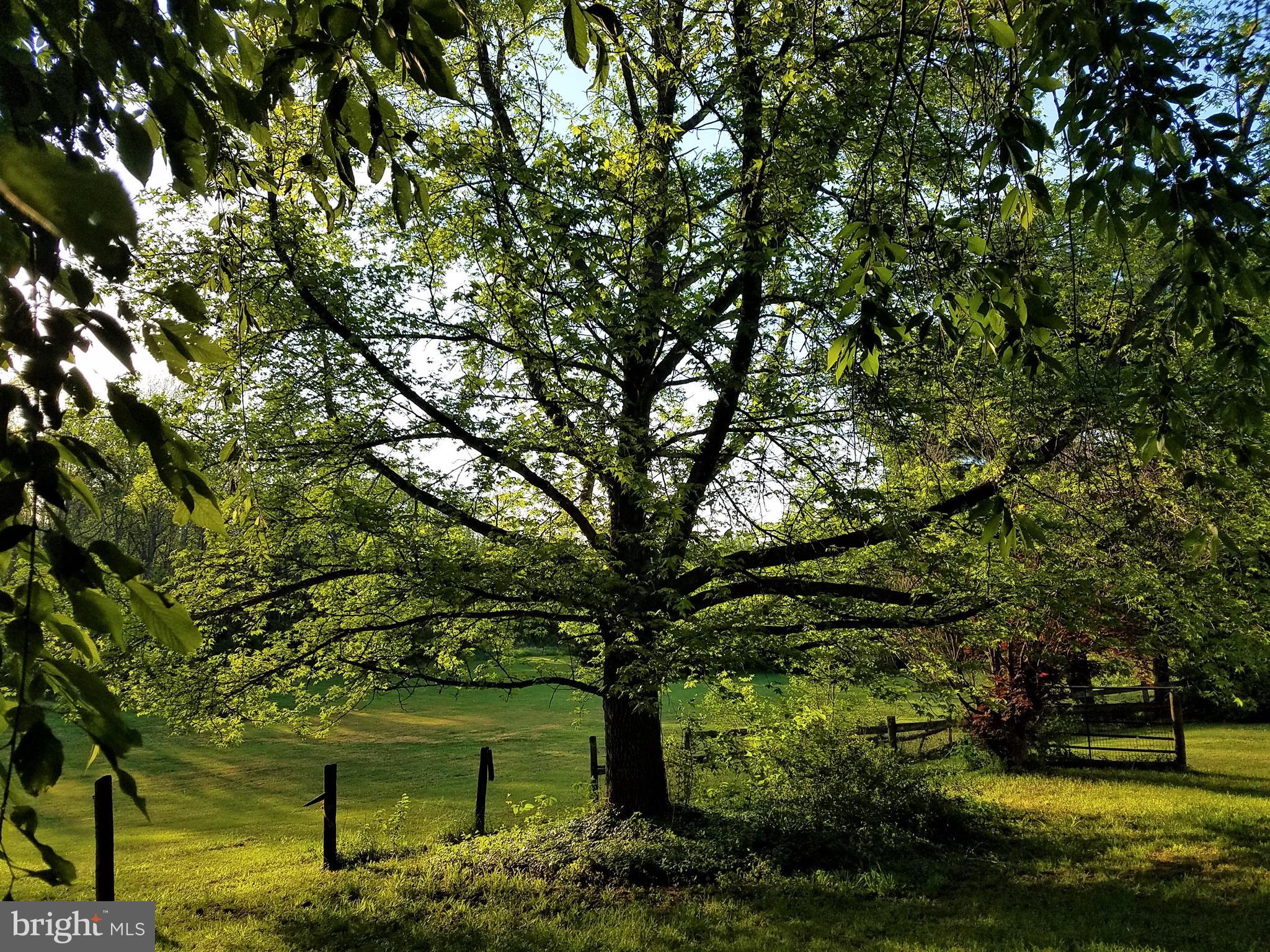 THE FIELDS - Residential