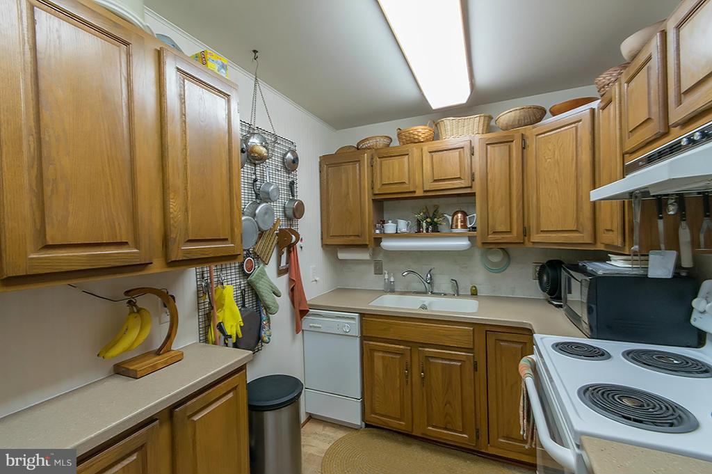 MOUNTAIN LICK RUN - Residential