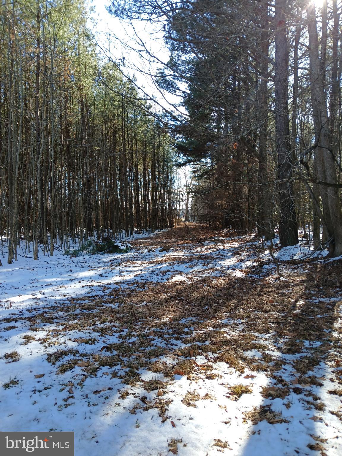 NONE AVAILABLE - Land