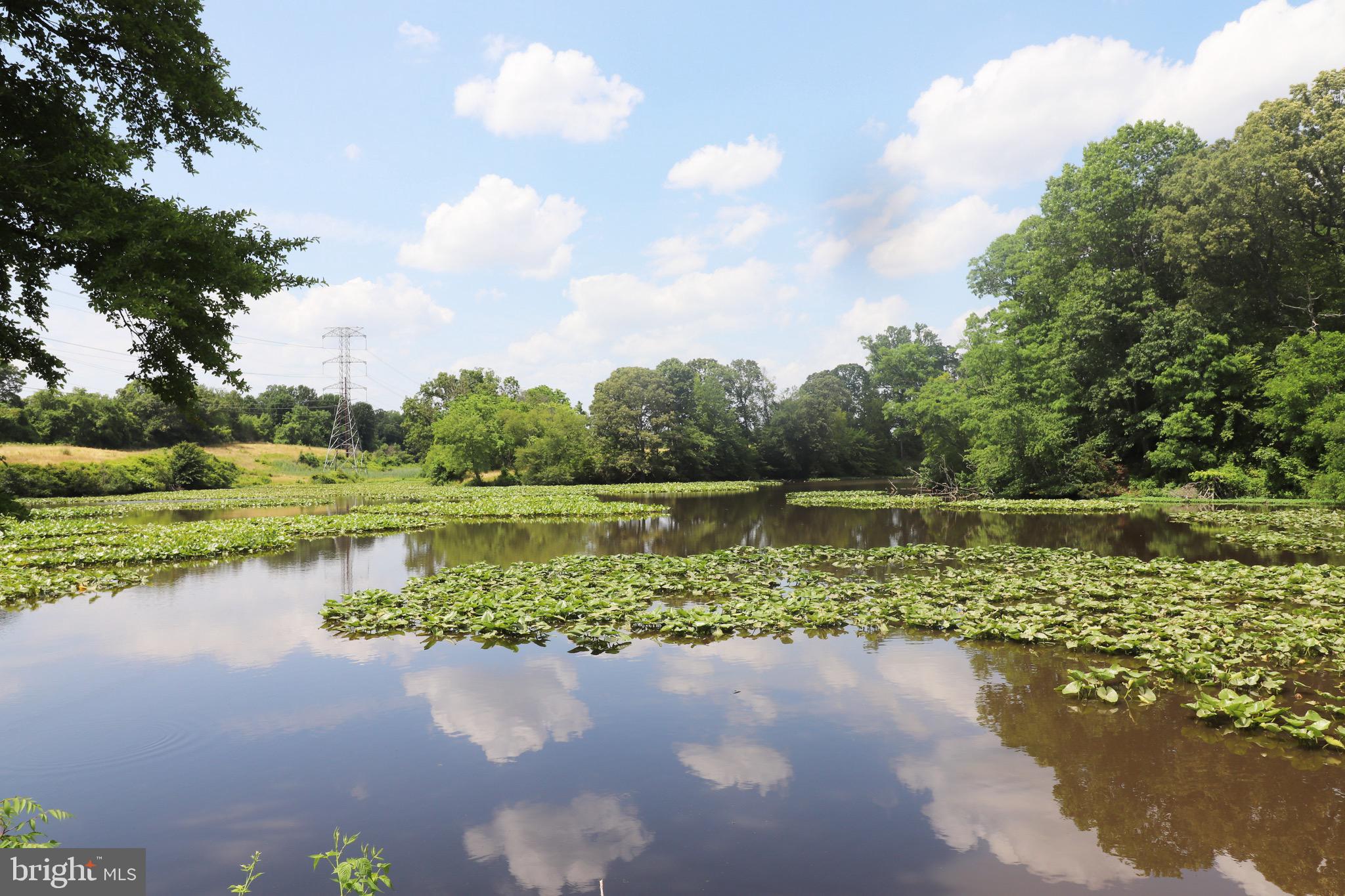 GREAT BOHEMIA MANO - Land