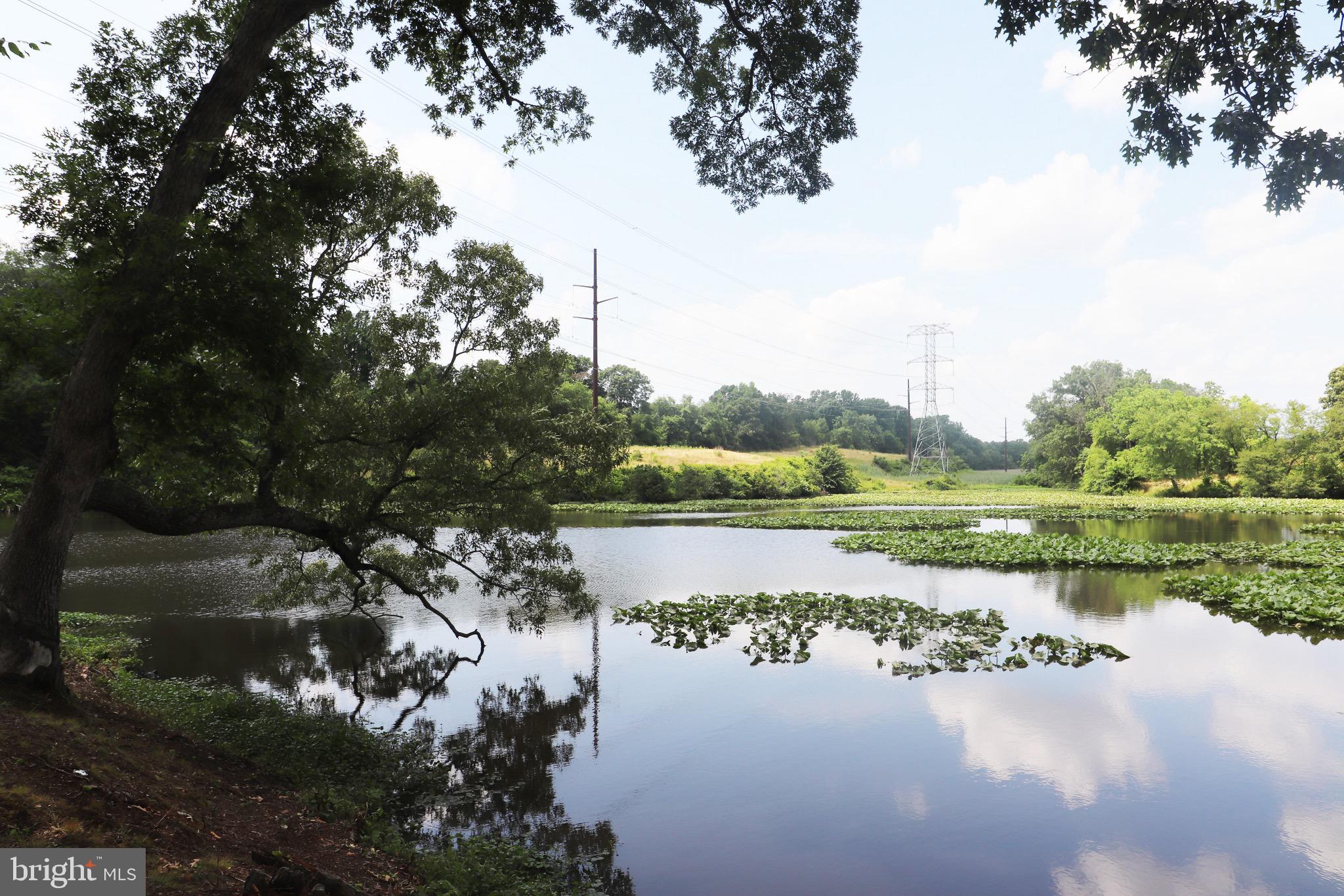 GREAT BOHEMIA MANO - Land