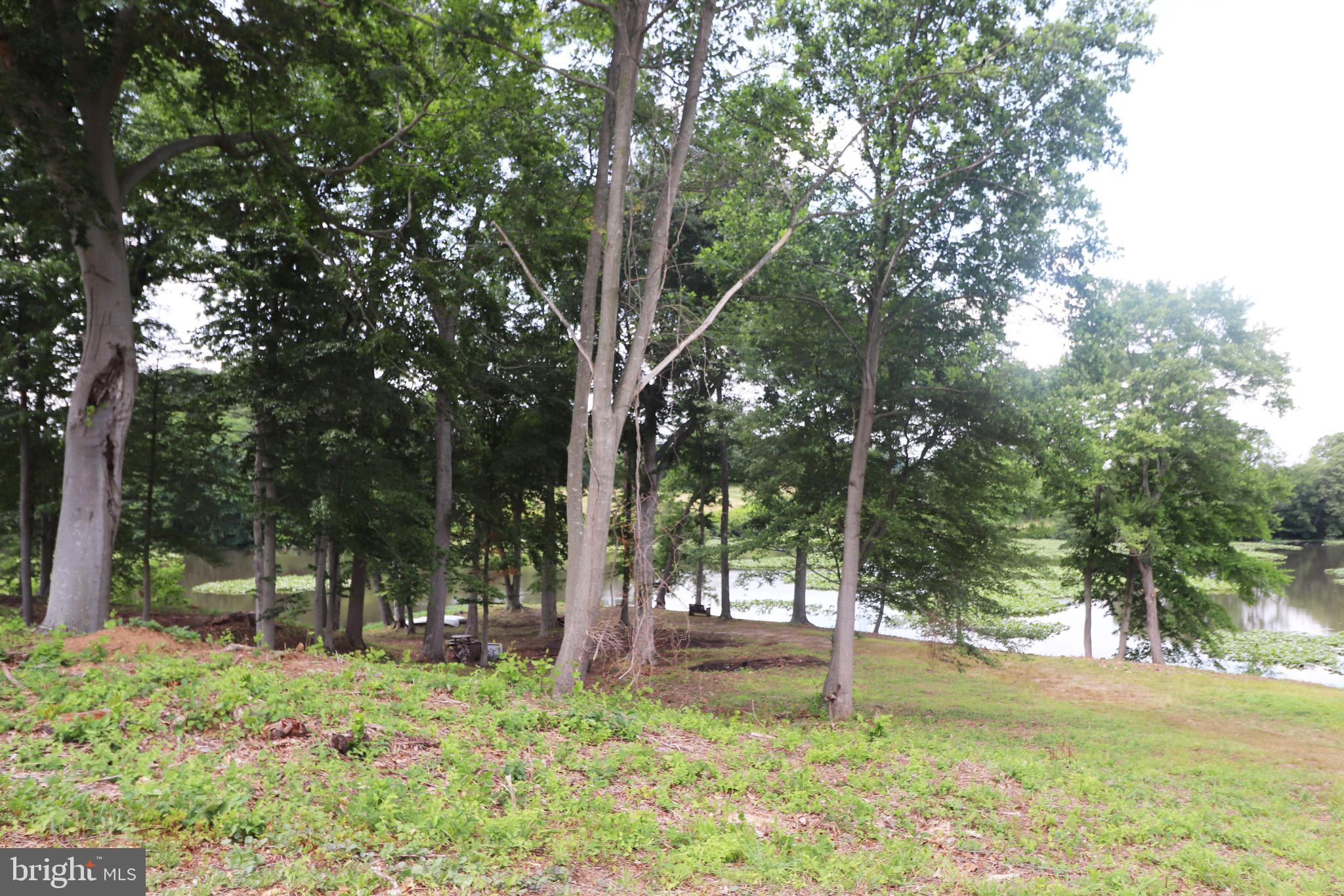 GREAT BOHEMIA MANO - Land