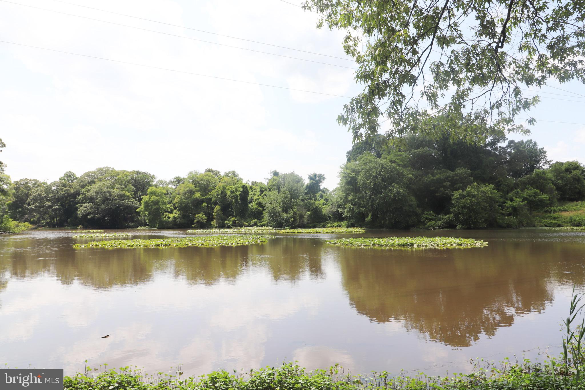 GREAT BOHEMIA MANO - Land