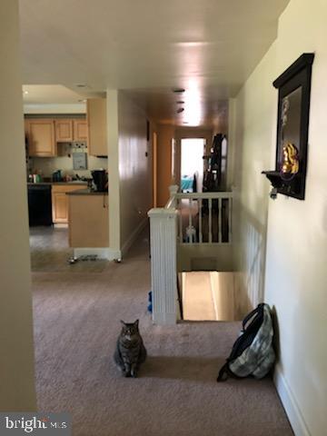 RIDGELY'S DELIGHT - Residential