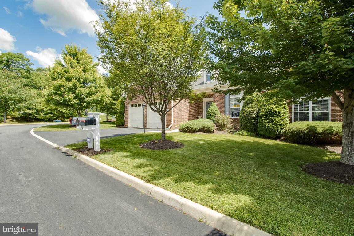 SUFFIELD MEADOWS - Residential