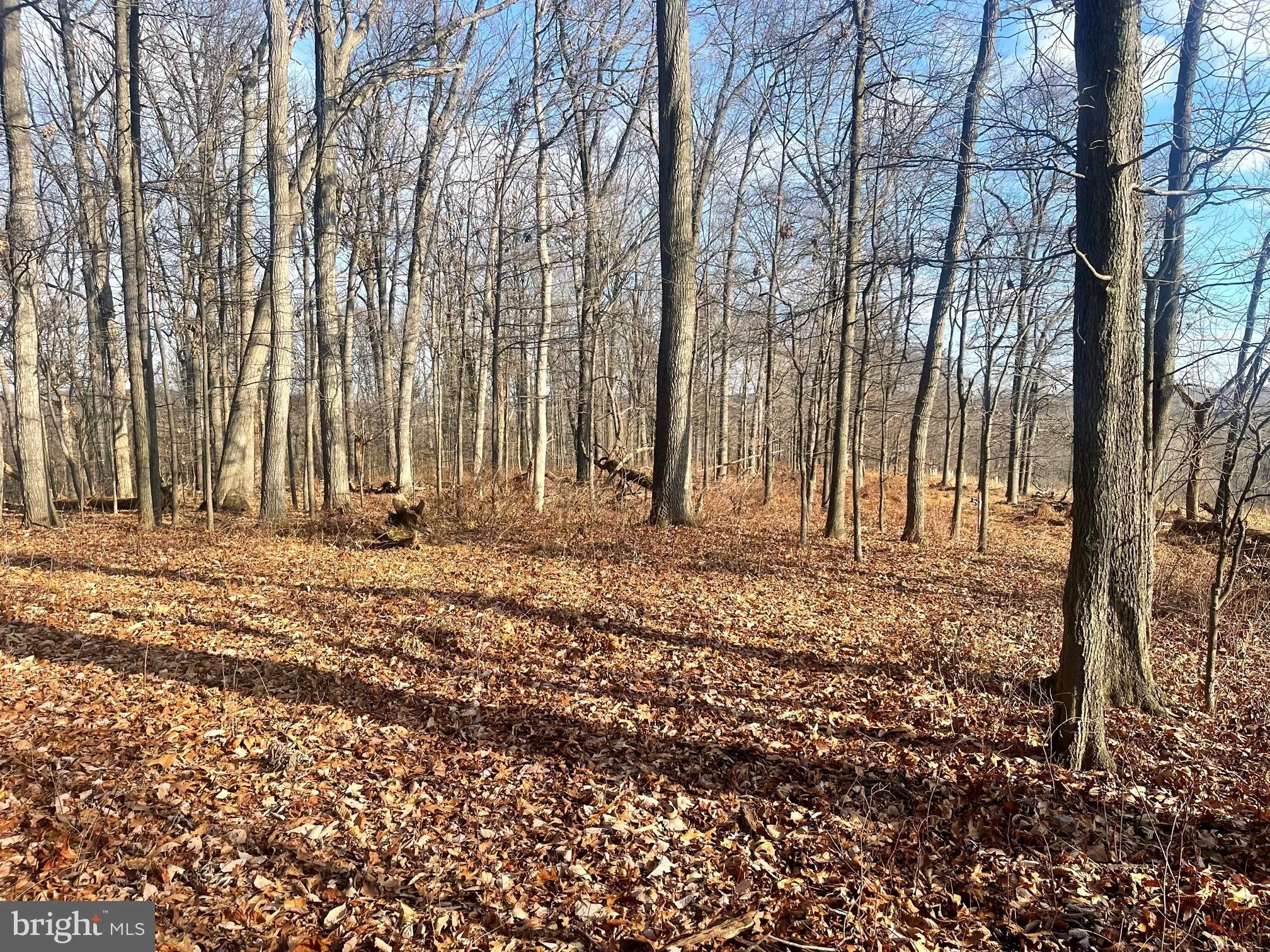 Westminster, Maryland 21158, United States, ,Land,Active,65922