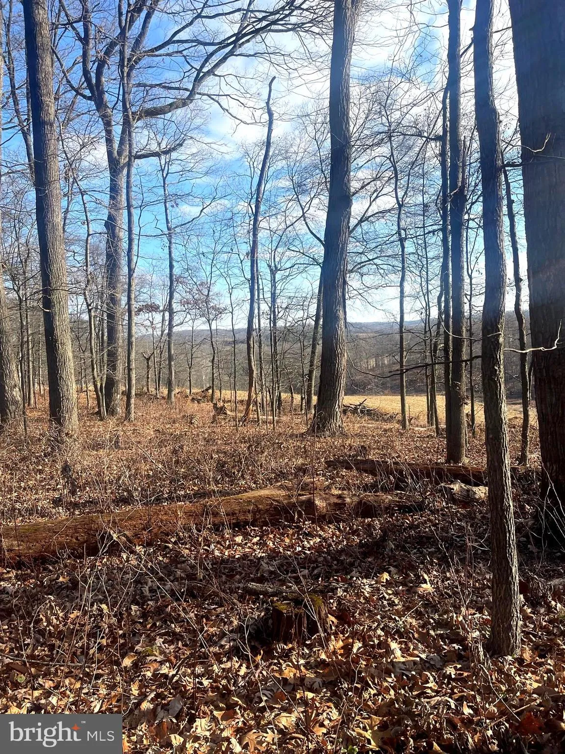 Westminster, Maryland 21158, United States, ,Land,Active,65922