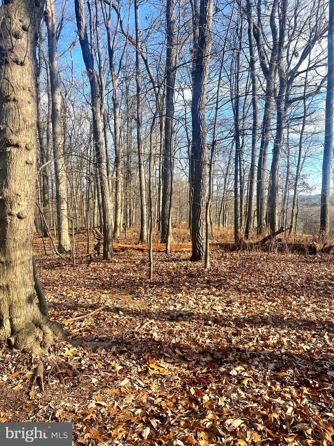 Westminster, Maryland 21158, United States, ,Land,Active,65922