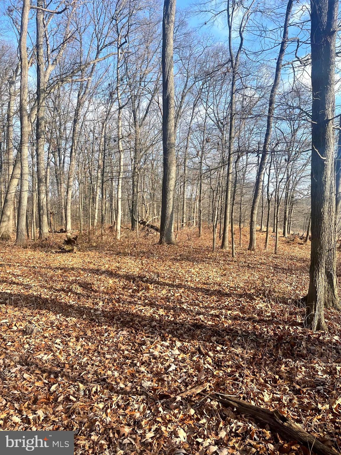 2650-2652 BAUMGARDNER ROAD