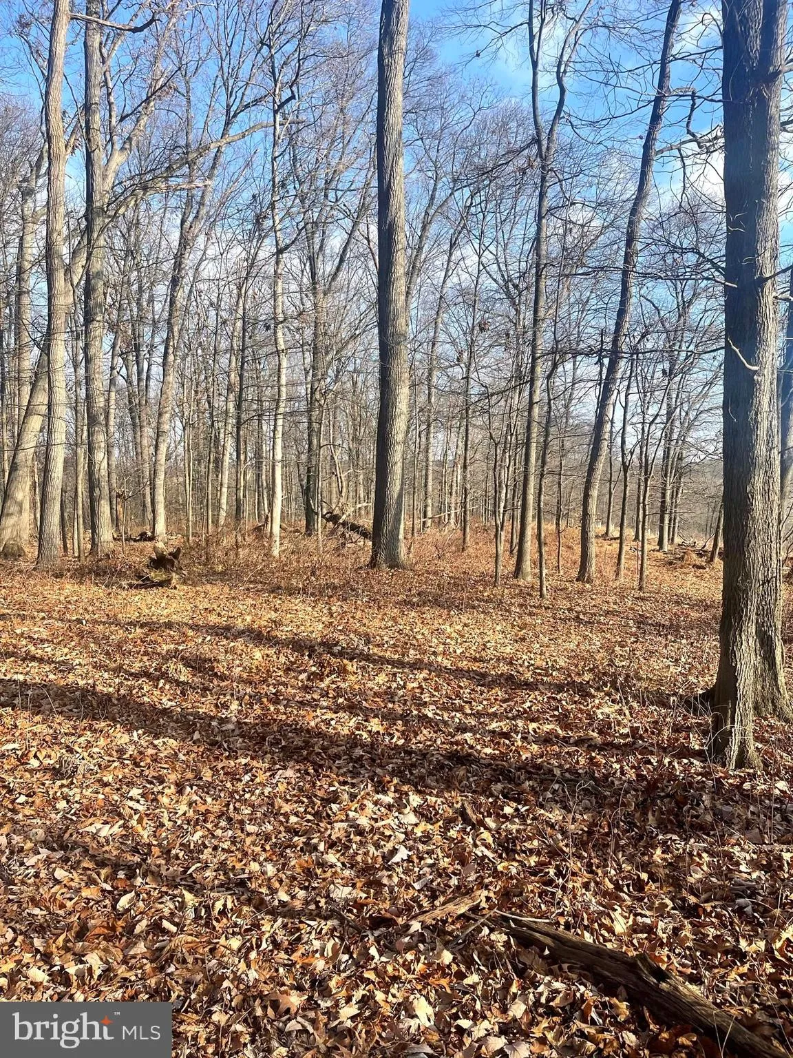 Westminster, Maryland 21158, United States, ,Land,Active,65922