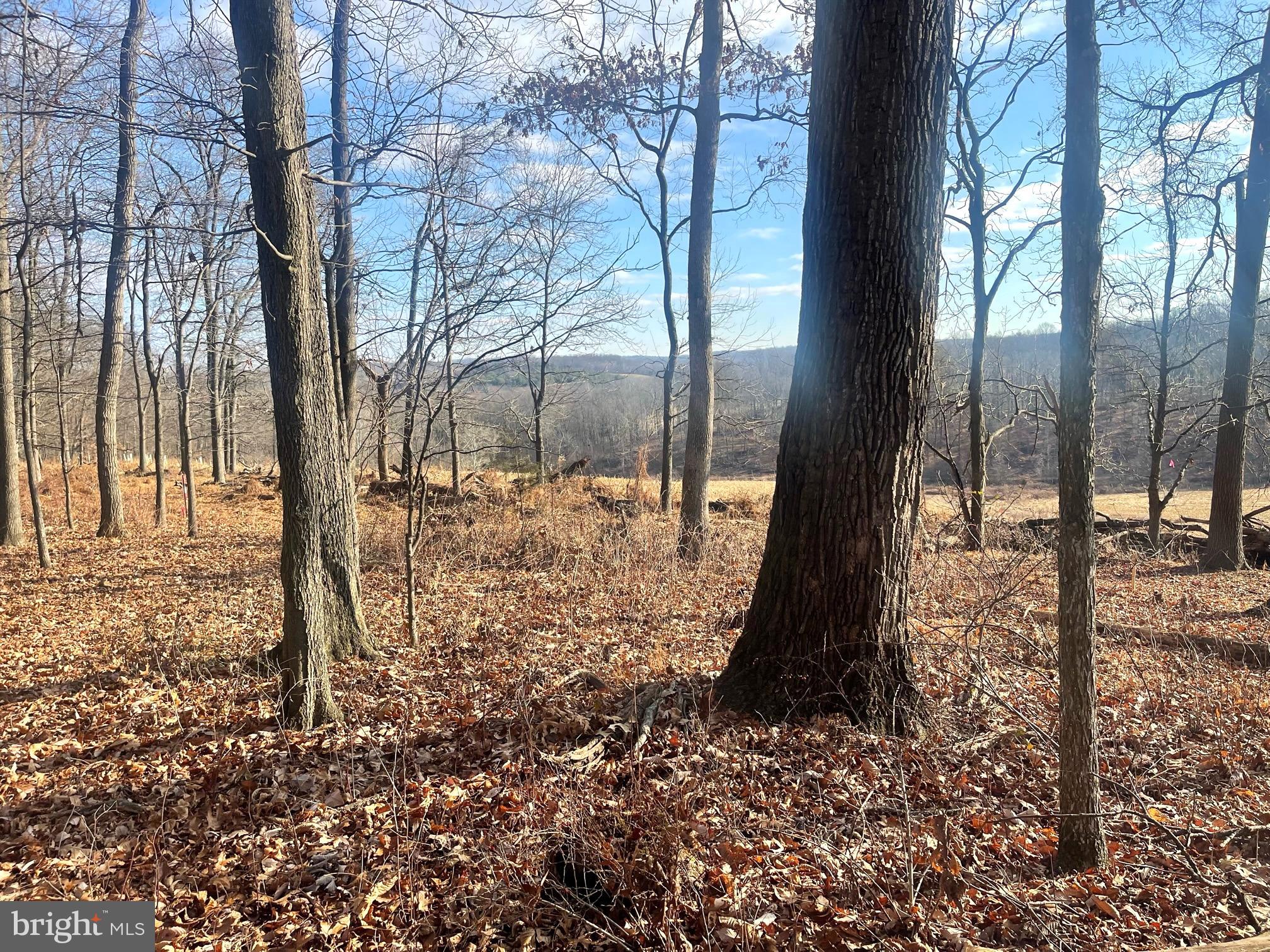 2650-2652 BAUMGARDNER ROAD