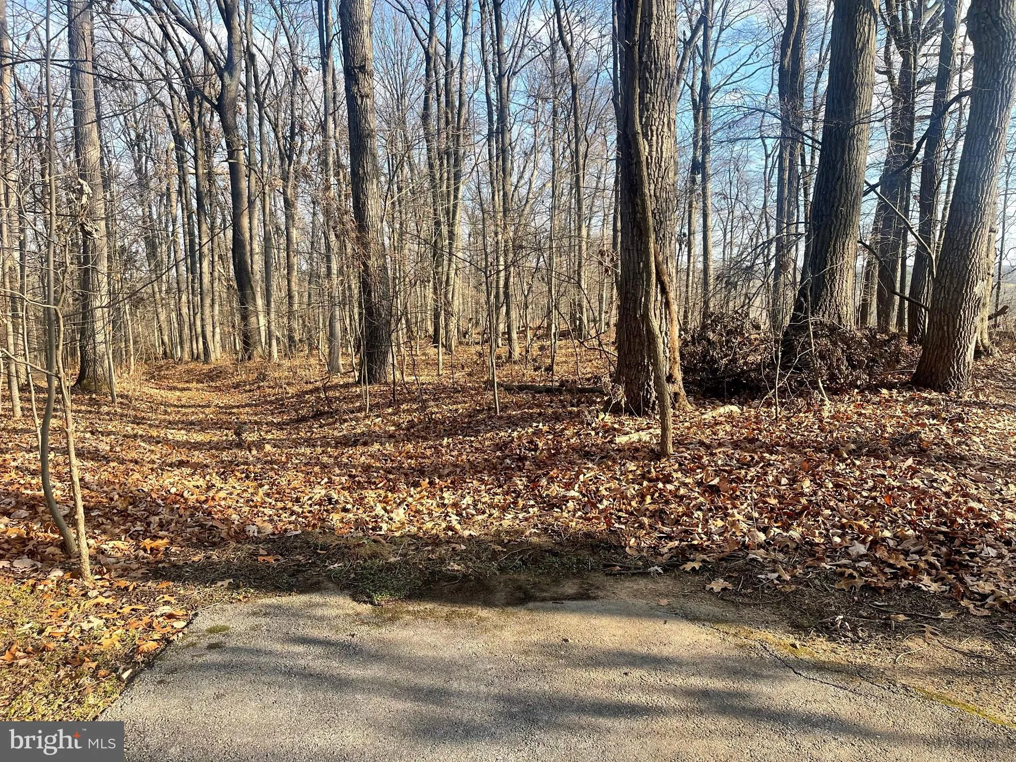 Westminster, Maryland 21158, United States, ,Land,Active,65922