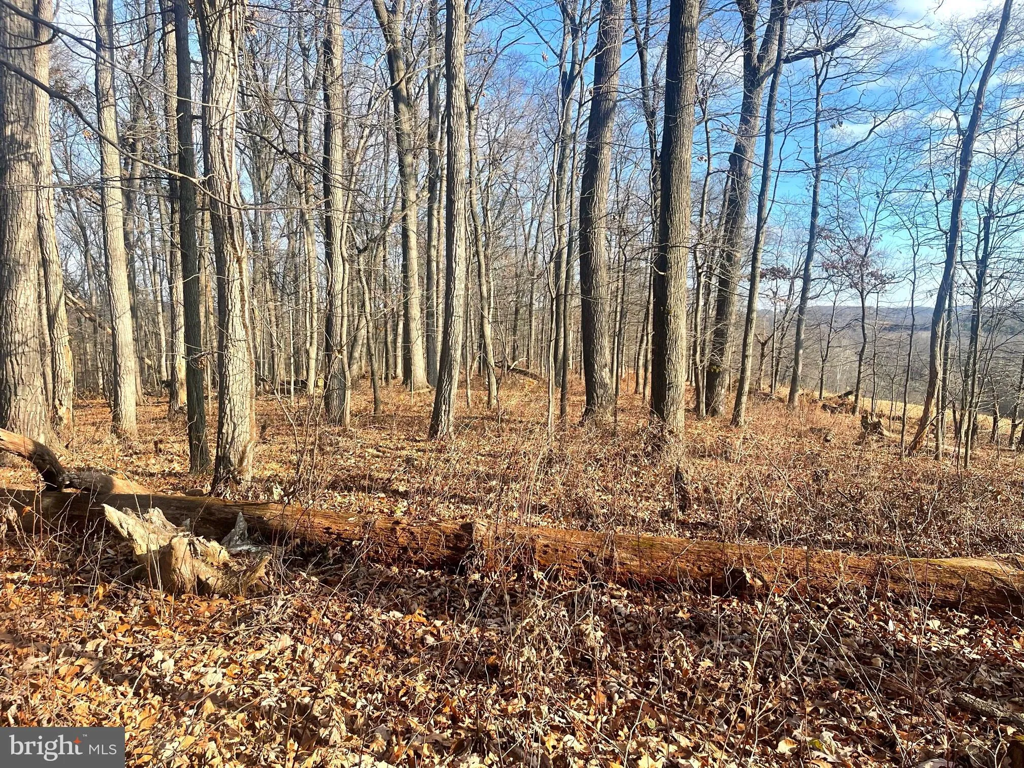 Westminster, Maryland 21158, United States, ,Land,Active,65922