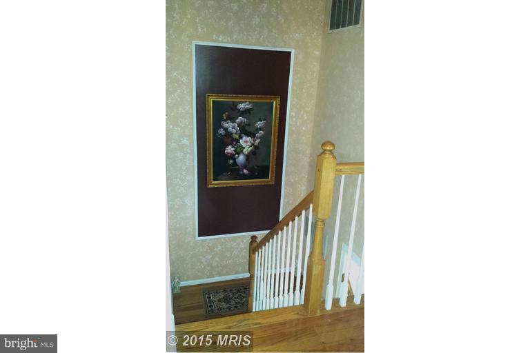 ELAN MEWS - Residential