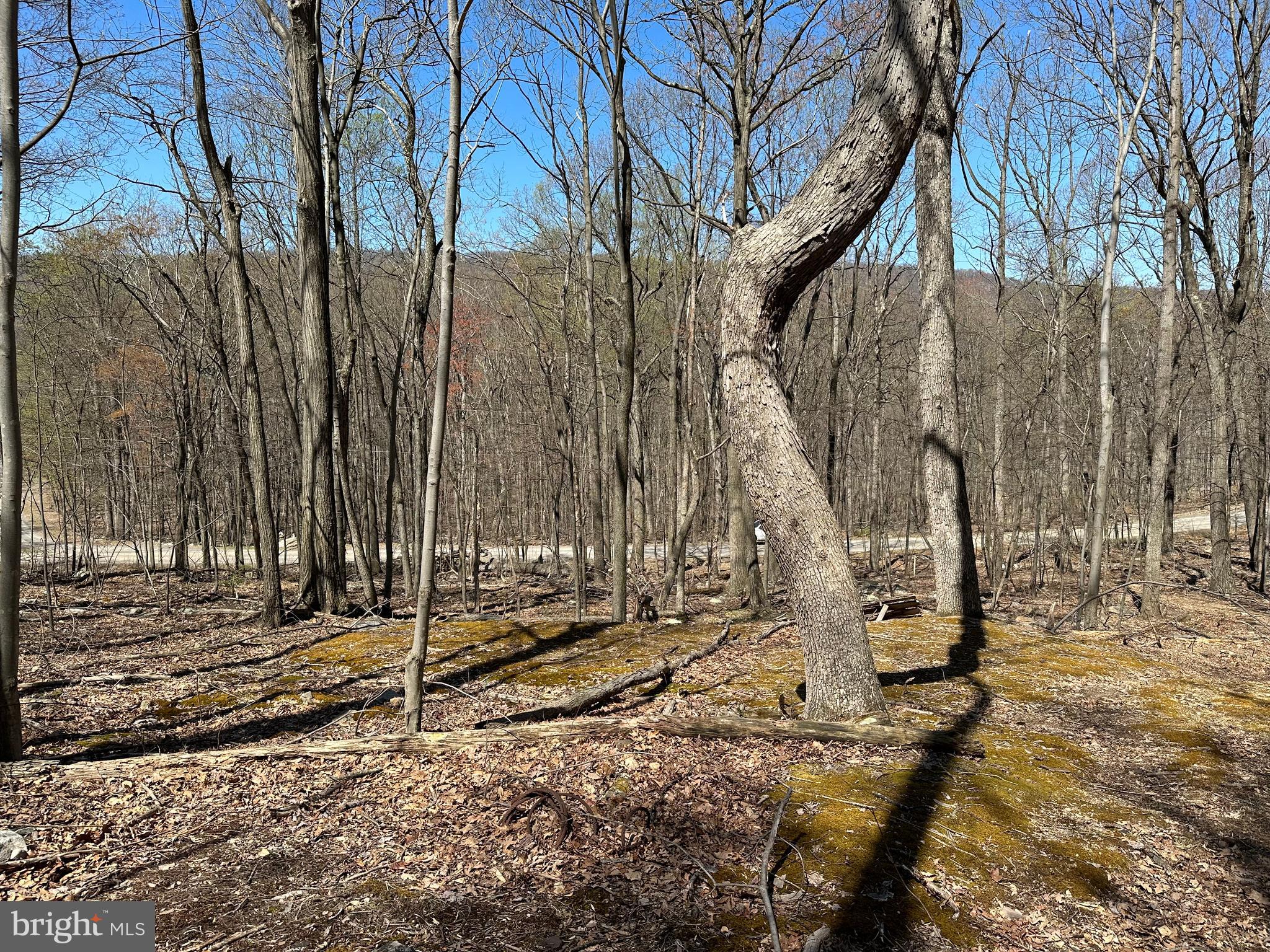 EAGLE MOUNTAIN - Land