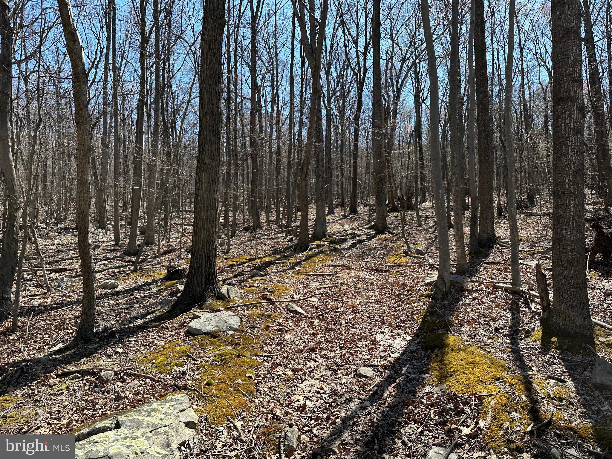 EAGLE MOUNTAIN - Land