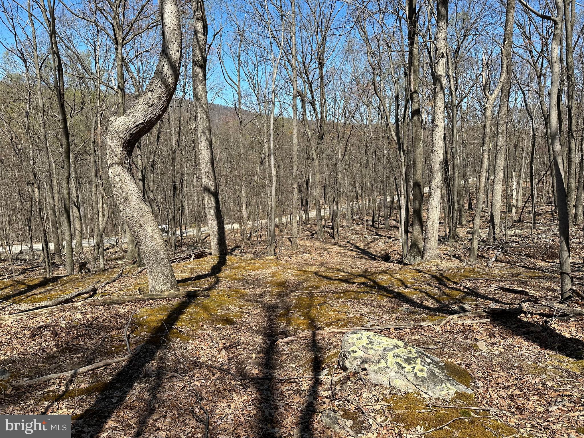 EAGLE MOUNTAIN - Land