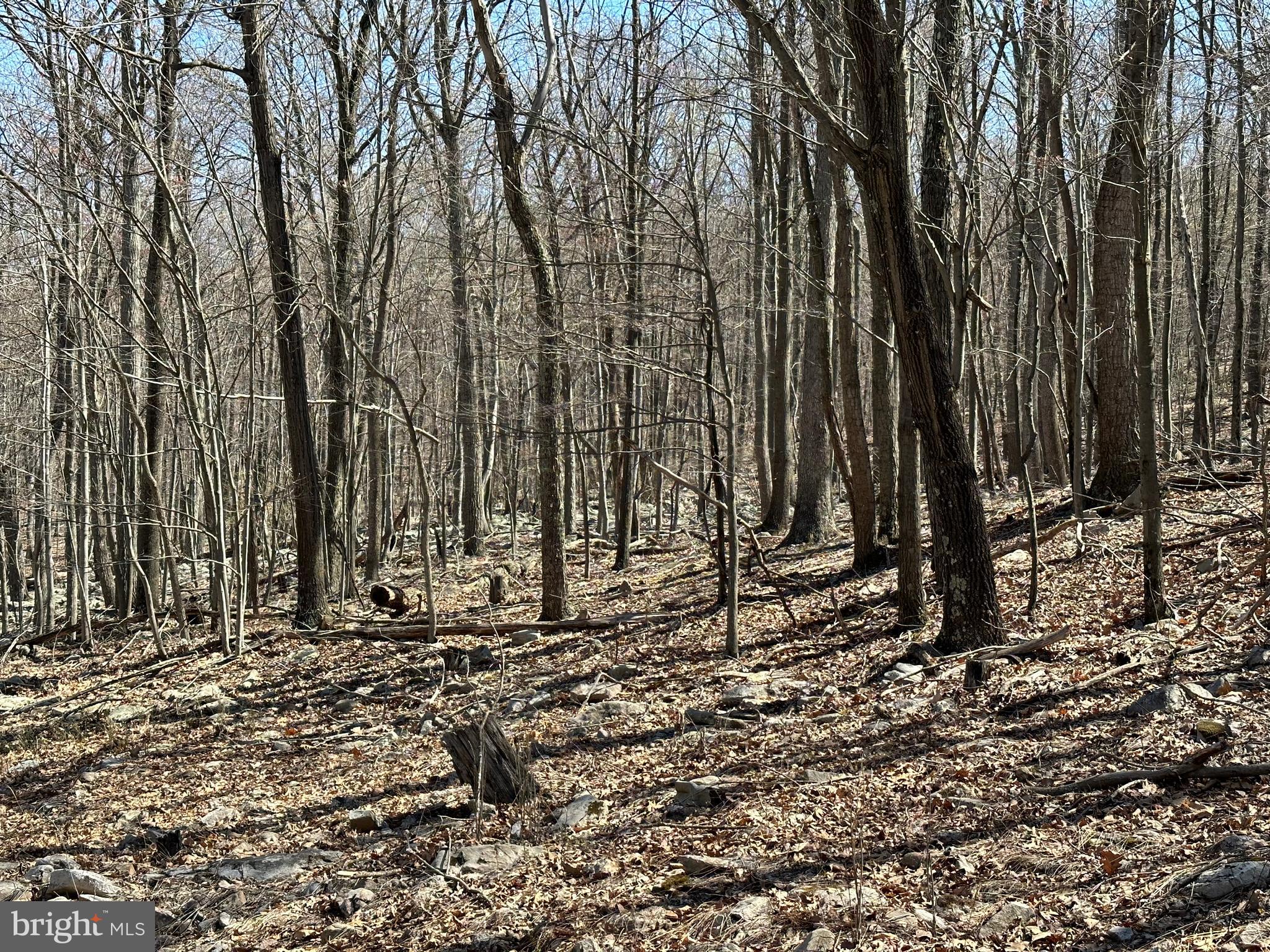 EAGLE MOUNTAIN - Land