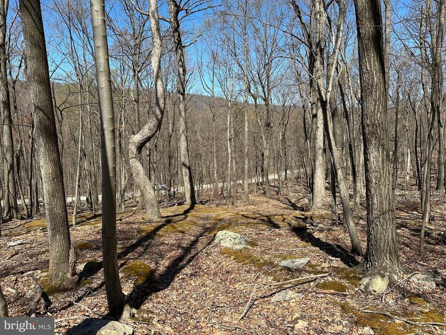 FLYIN' HIGH ON EAGLE MOUNTAIN.....10.4 ACRES COVERED IN HARDWOODS AND ROCK OUTCROPPINGS.....IT'S GOT THAT RUGGEDLY PRETTY LOOK.....THE LAND SLOPES UP THE MOUNTAIN, NOT TERRIBLY STEEP OR UNMANAGEABLE.....REMNANTS OF OLD DRIVEWAY, WHICH LEADS TO SMALL CLEARING, WITH MINIMAL WORK, YOU COULD PULL IN A CAMPER AND THE ELECTRIC IS SUPER CLOSE.....FROM THE CLEARING, AN OLD ATV PATH CONTINUES UP THE MOUNTAIN TO A BENCH, WHICH WOULD PROVIDE A MORE SECLUDED BUILD SITE WITH ENHANCED VIEWS OF SPRING GAP MOUNTAIN. PLENTY OF HUNTING OPPORTUNITIES FOR BIG & SMALL GAME. LOCATED IN THE WELL MAINTAINED GATED COMMUNITY OF EAGLE MOUNTAIN, 10-15 MINUTES FROM THE VILLAGE OF PAW PAW AND PUBLIC ACCESS ON THE CACAPON AND POTOMAC RIVERS FOR UNLIMITED FUN ON THE WATER. JUST A HAIR OVER 30 MINUTES FROM WINCHESTER, VA AND 2 HOURS FROM DOWNTOWN DC.....HANDS DOWN THE BEST DEAL OUT THERE ON 10+ ACRES......IT'S TIME TO GET YOUR SLICE OF THE PIE, YOU'VE EARNED IT AND YOU DESERVE IT.....BREAK OUT THE COONSKIN CAP AND HEAD FOR THE MOUNTAINS!