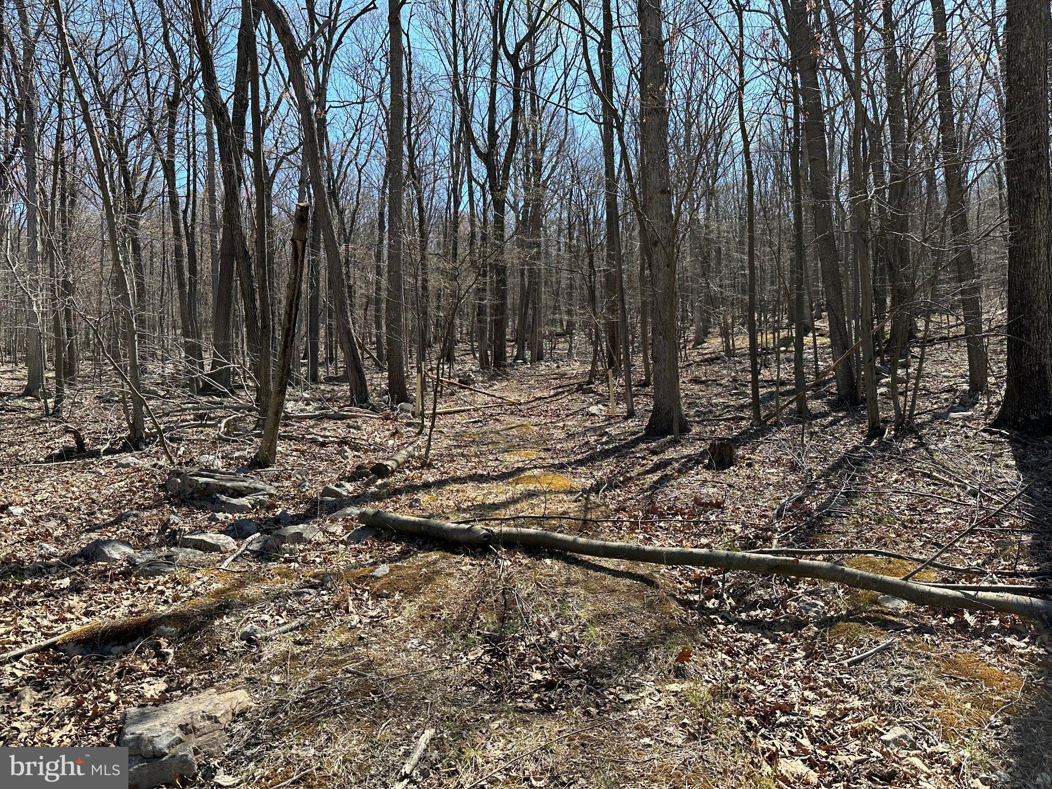 EAGLE MOUNTAIN - Land