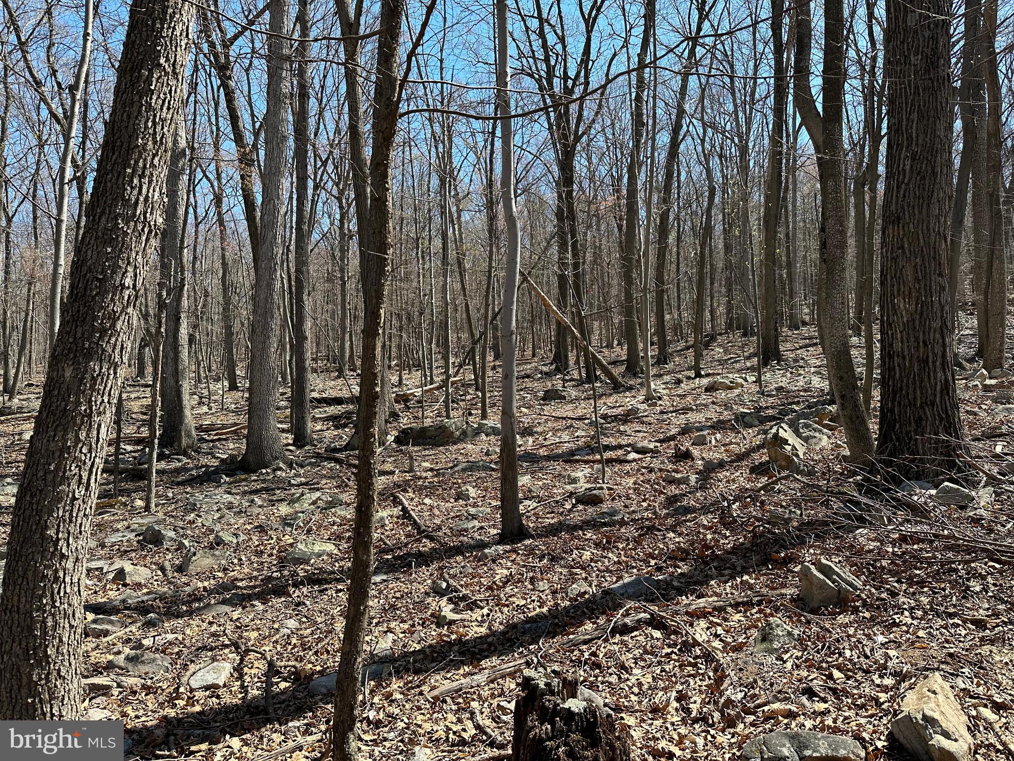 EAGLE MOUNTAIN - Land