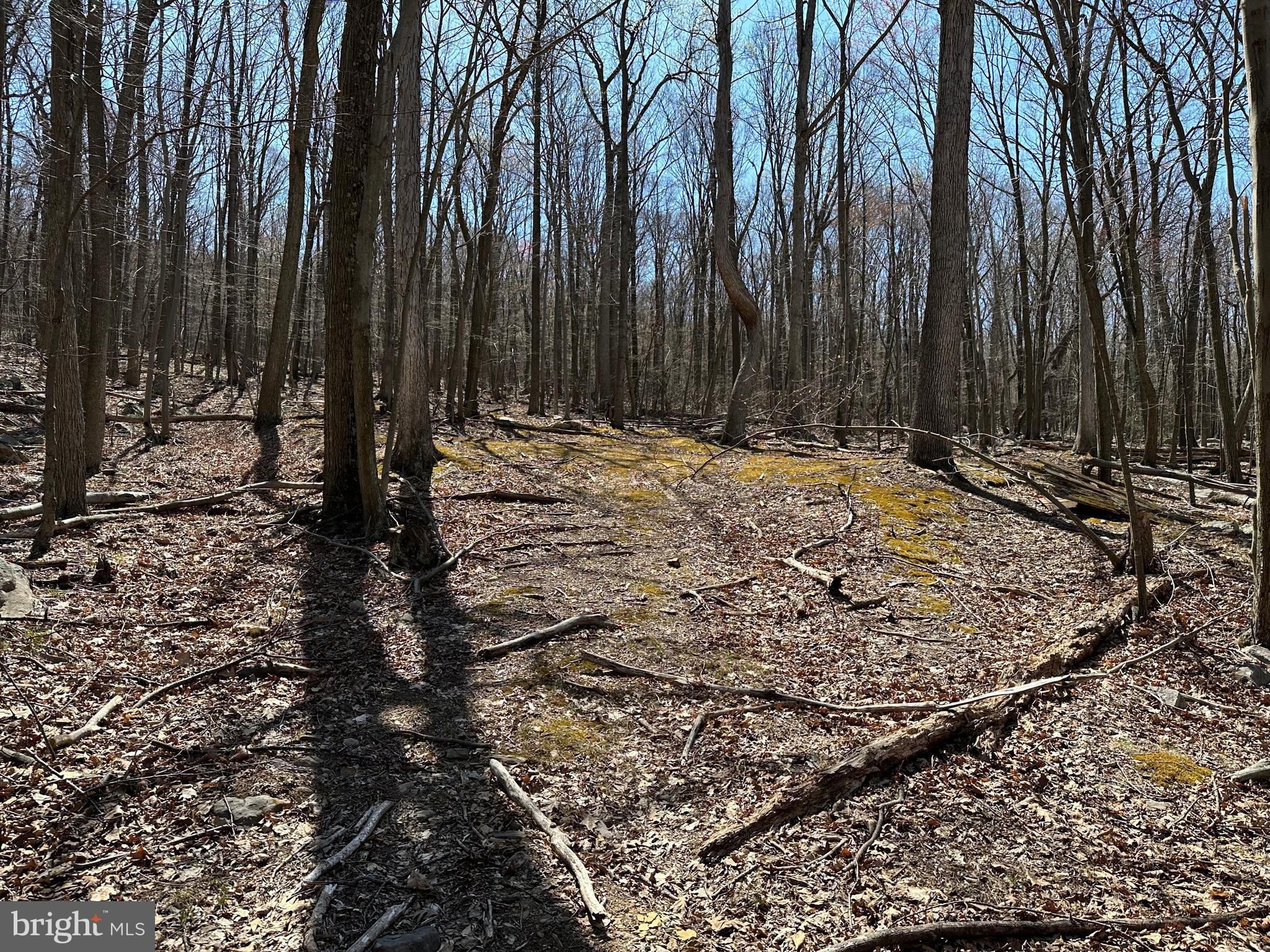 EAGLE MOUNTAIN - Land