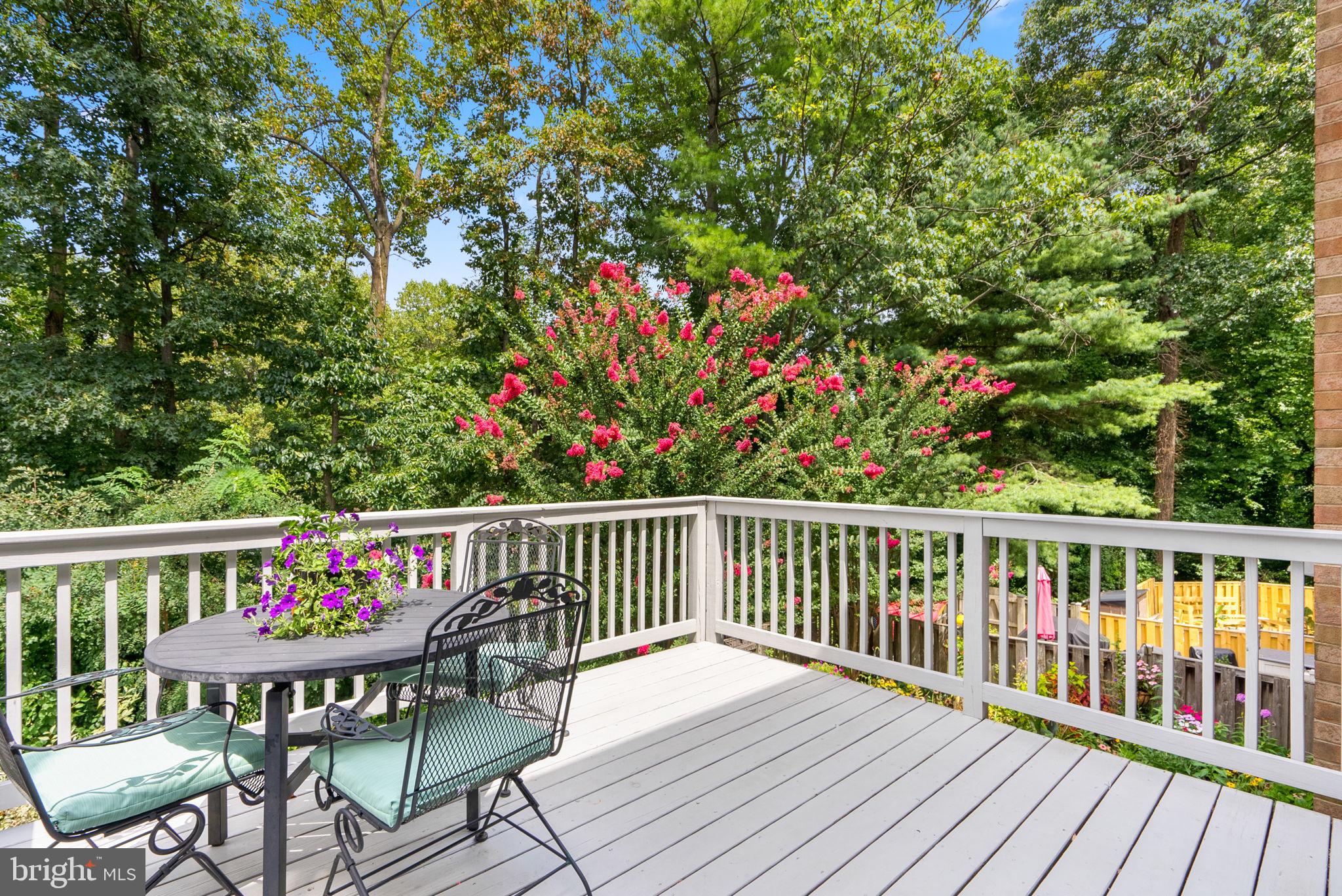 BAY HILLS - Residential