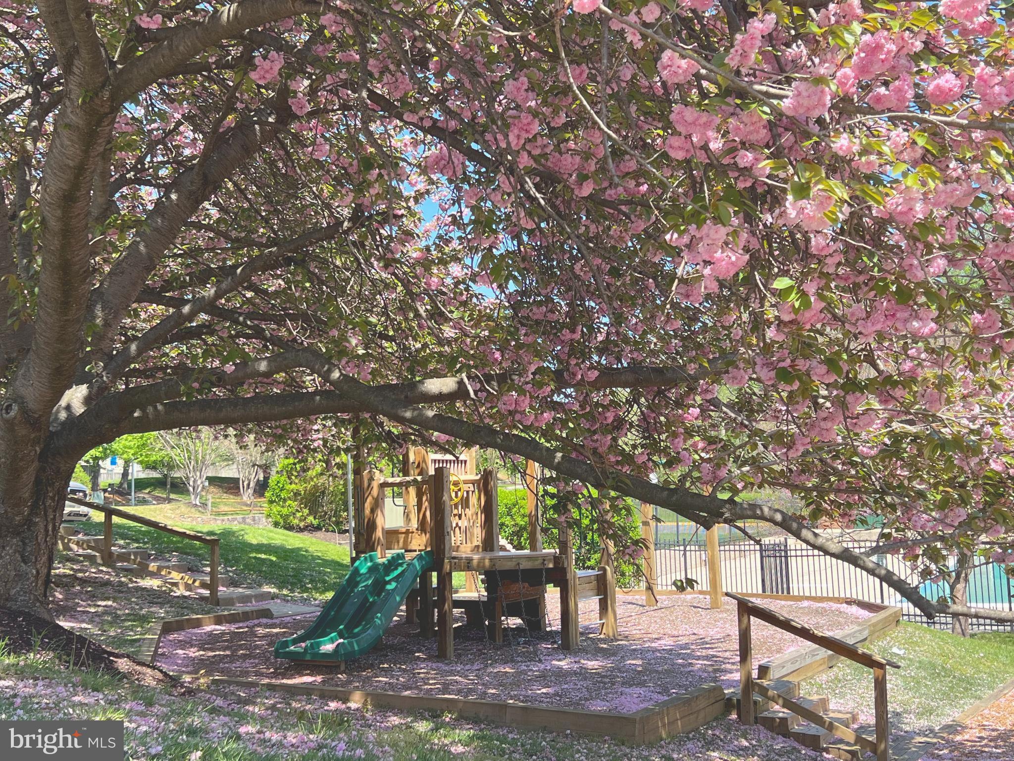 GUNNERS LAKE VILLAGE - Residential