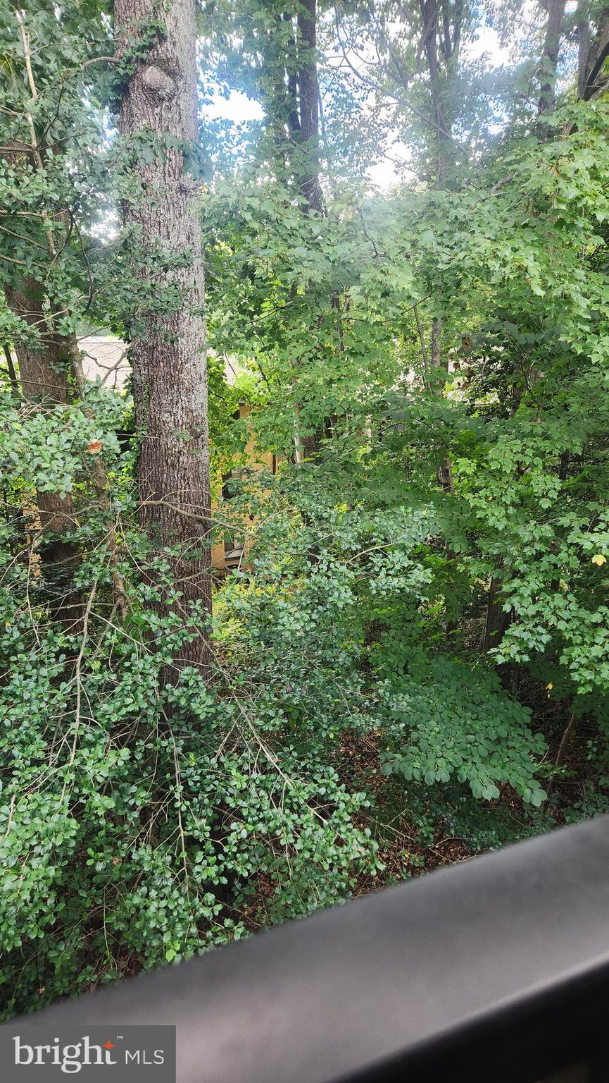 SHADOWOOD - Residential