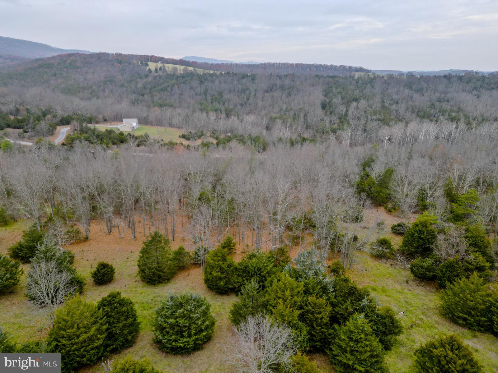 QUANTICO ESTATES - Land