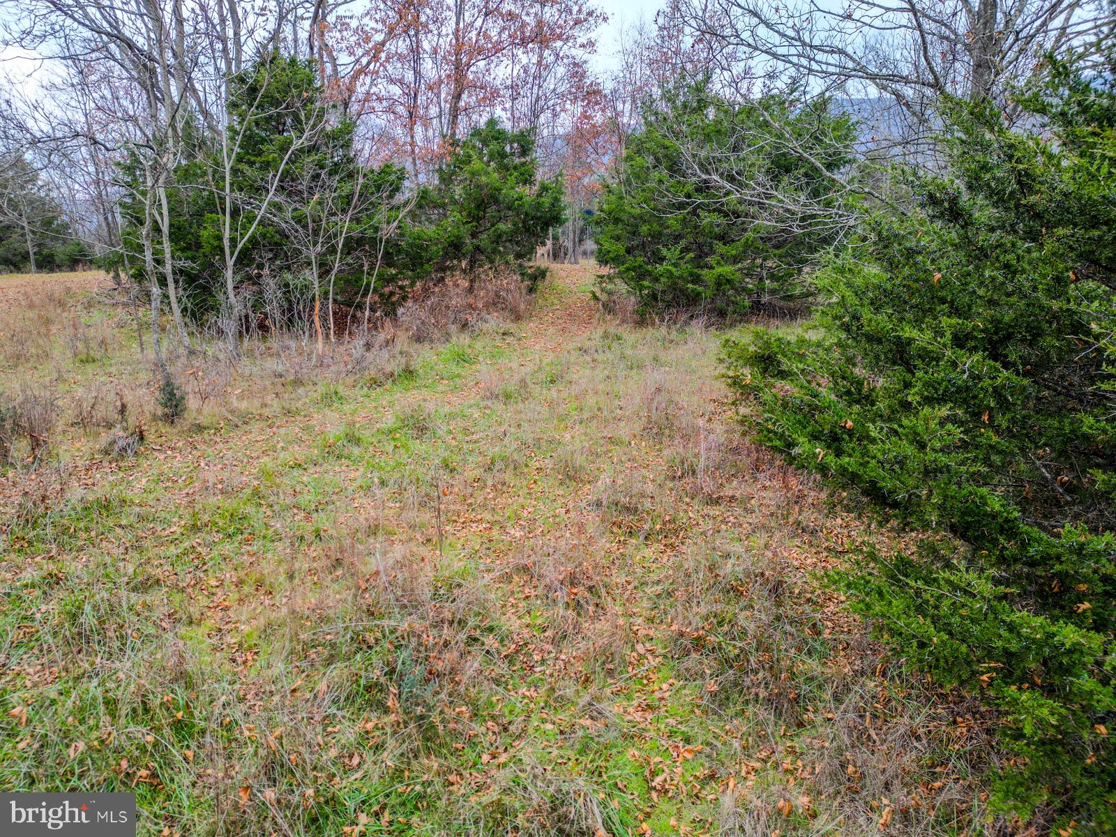 QUANTICO ESTATES - Land