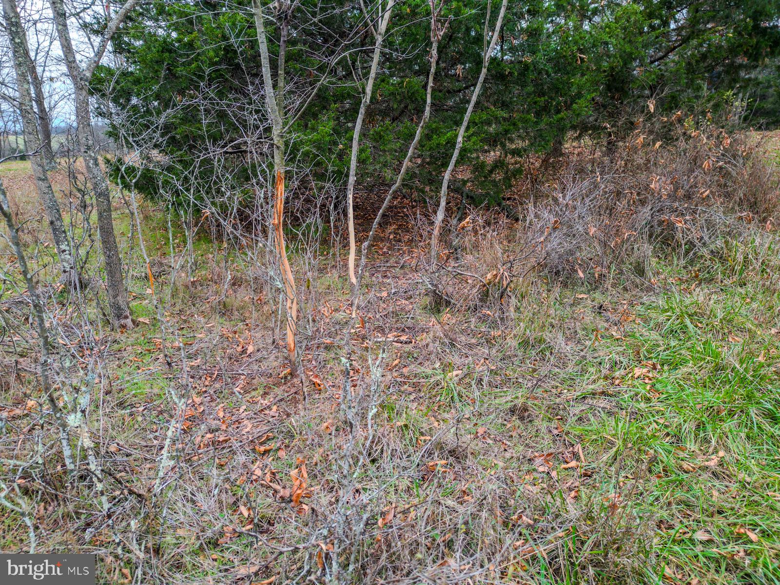 QUANTICO ESTATES - Land