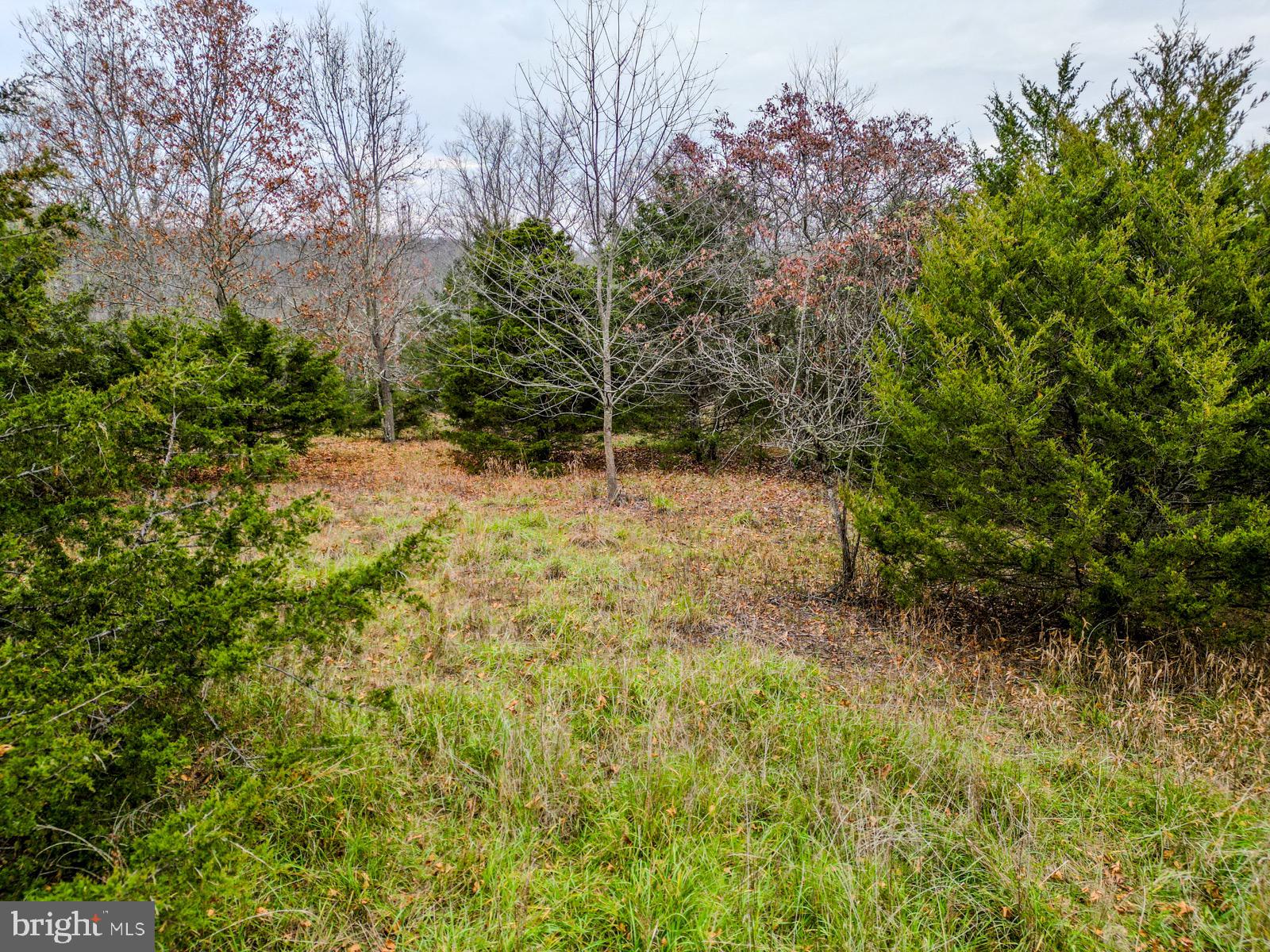 QUANTICO ESTATES - Land