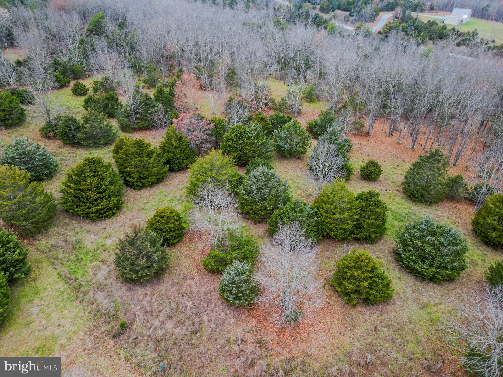 QUANTICO ESTATES - Land