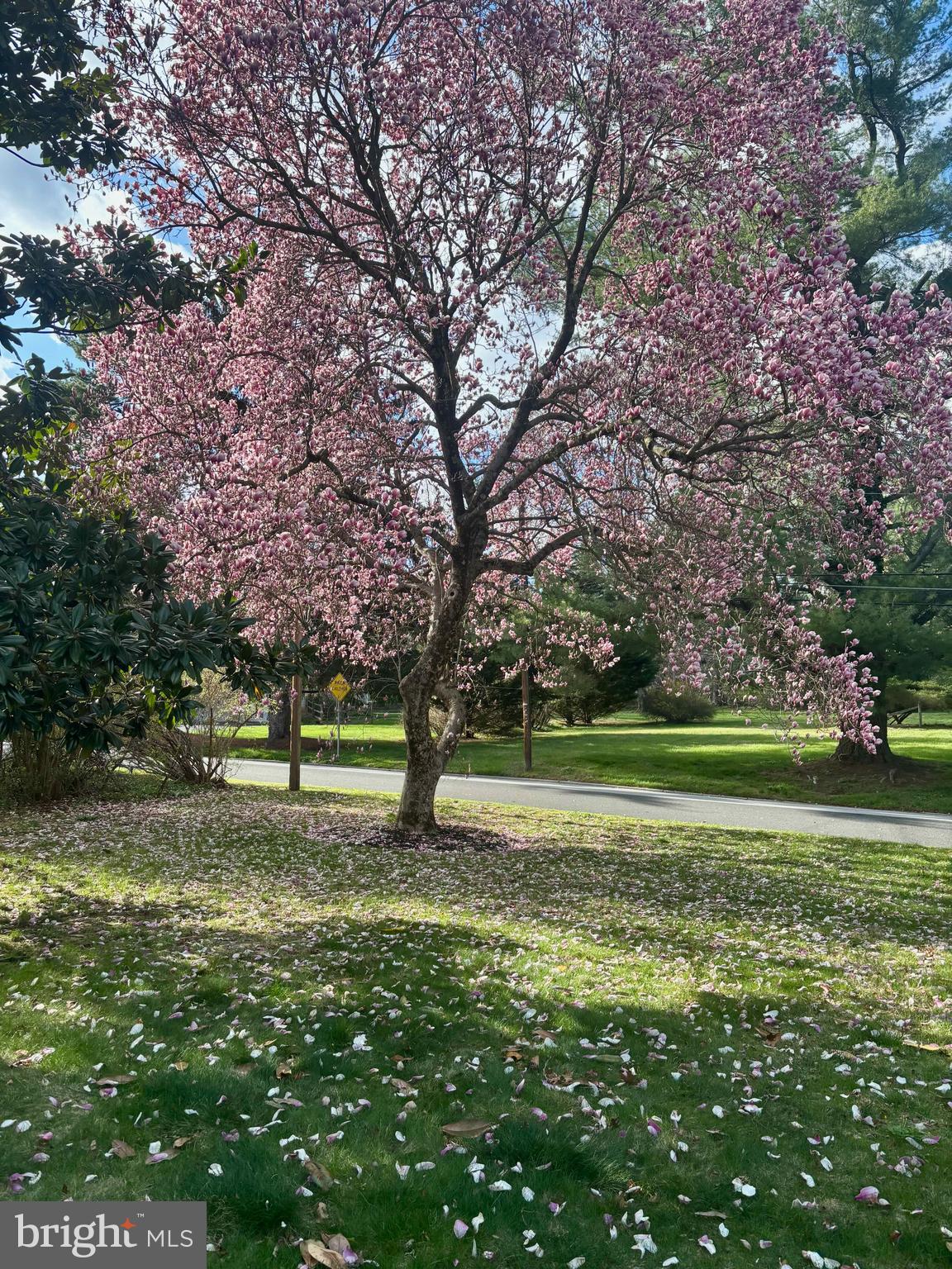 DEEPDALE - Residential