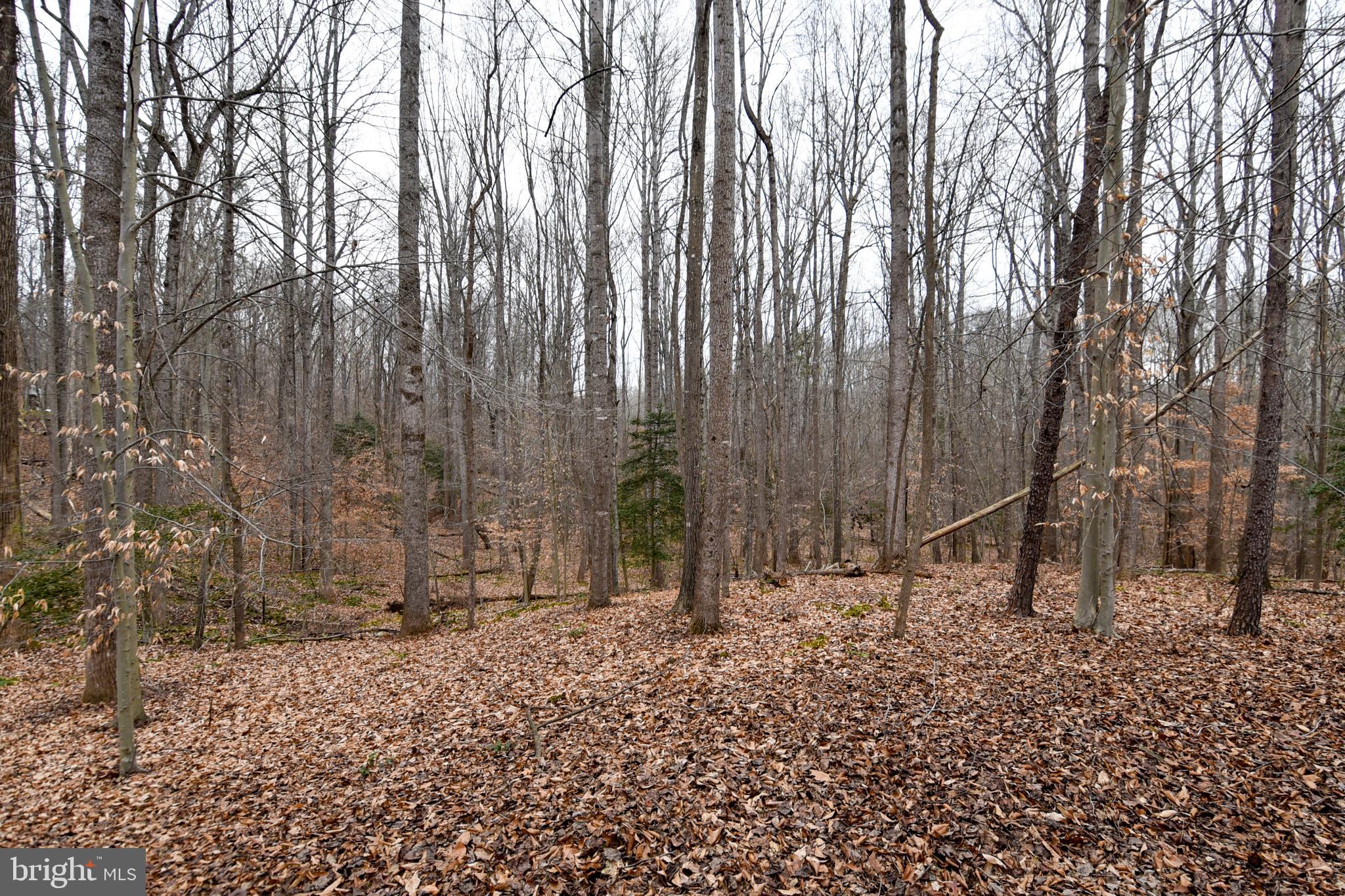 SHADOWALK - Residential