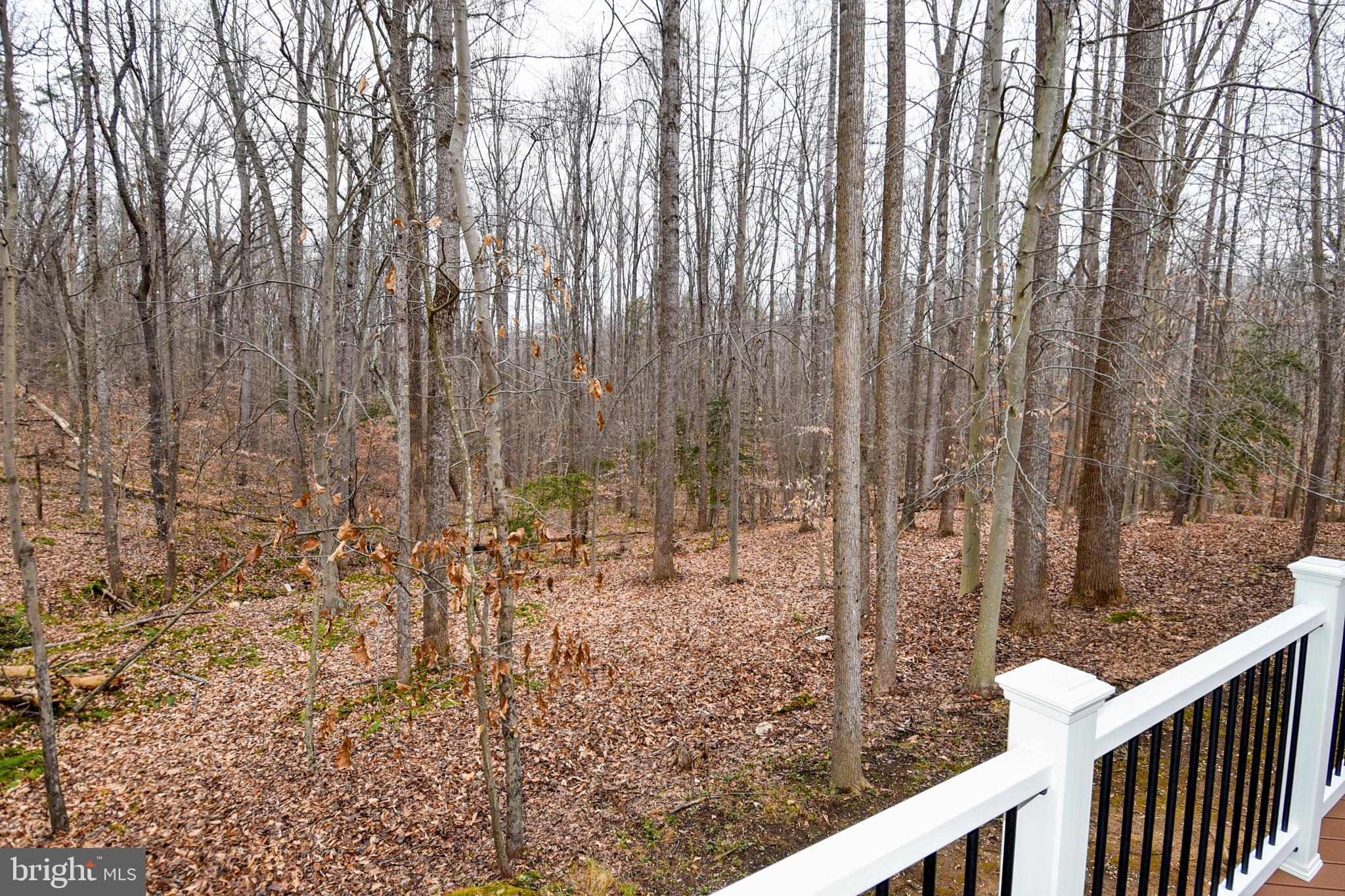 SHADOWALK - Residential