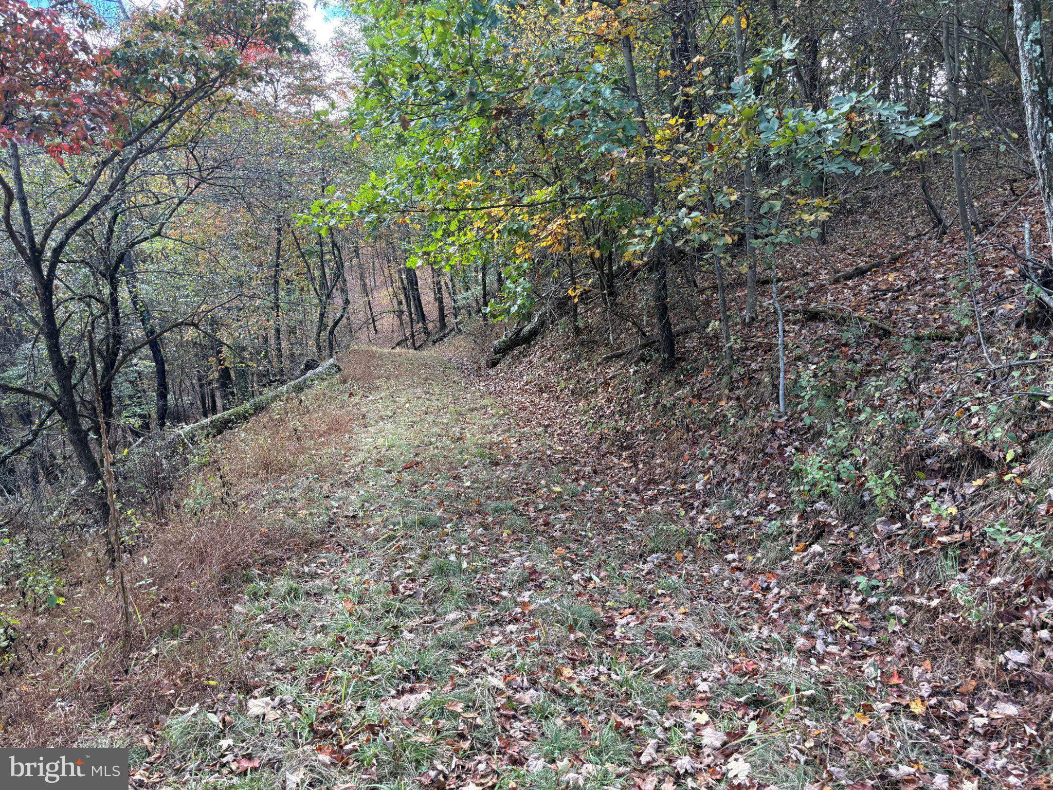 49.76 ACRES OFF DANS RUN ROAD