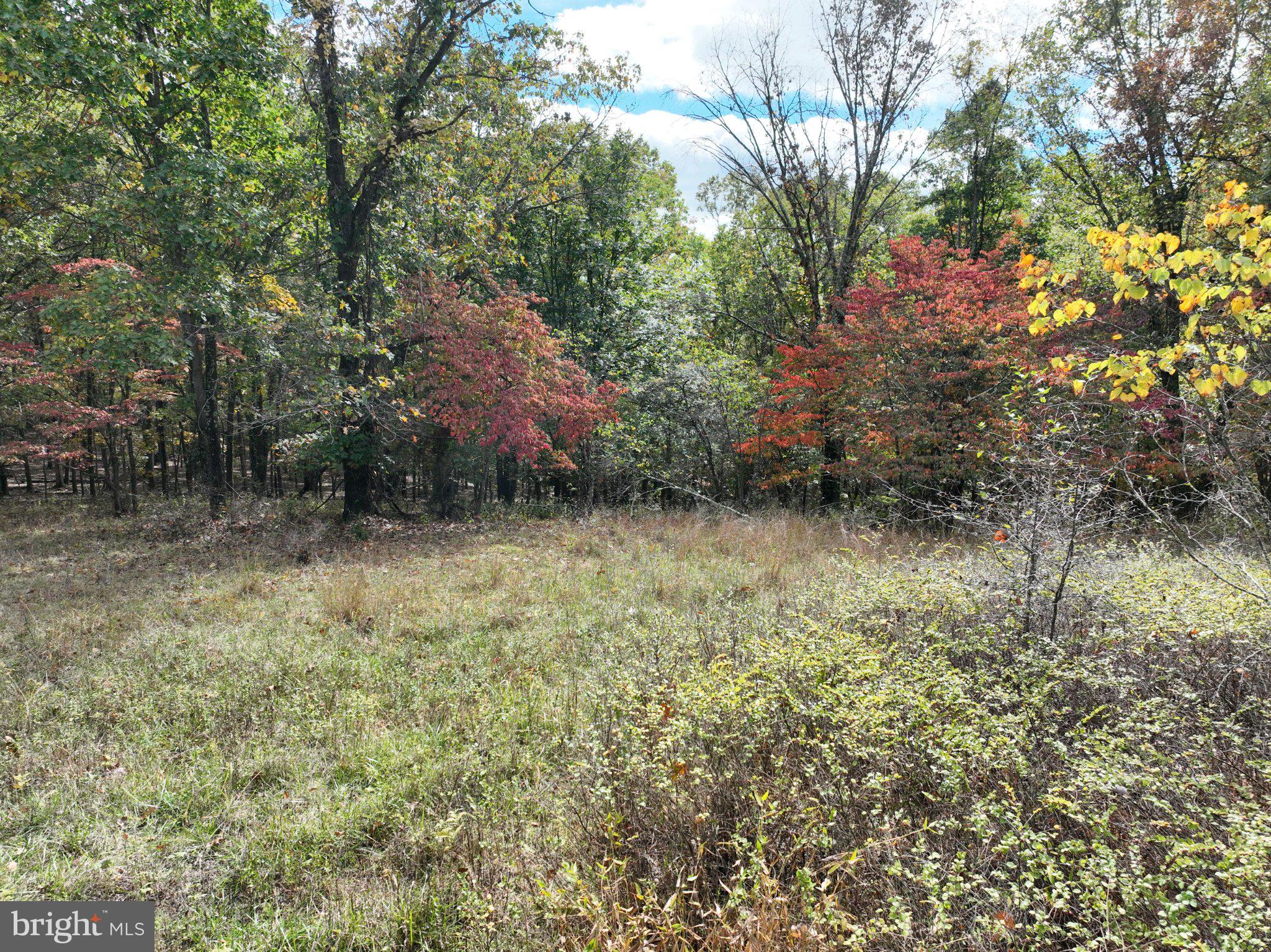 49.76 ACRES OFF DANS RUN ROAD