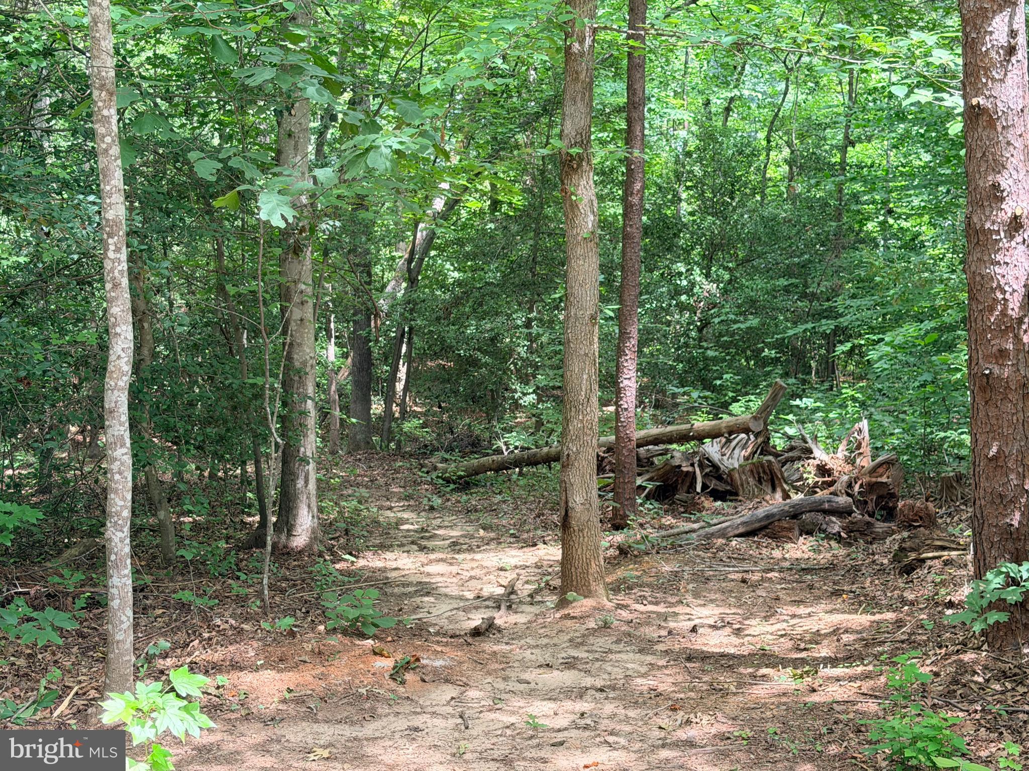 278 RICHLAND ROAD