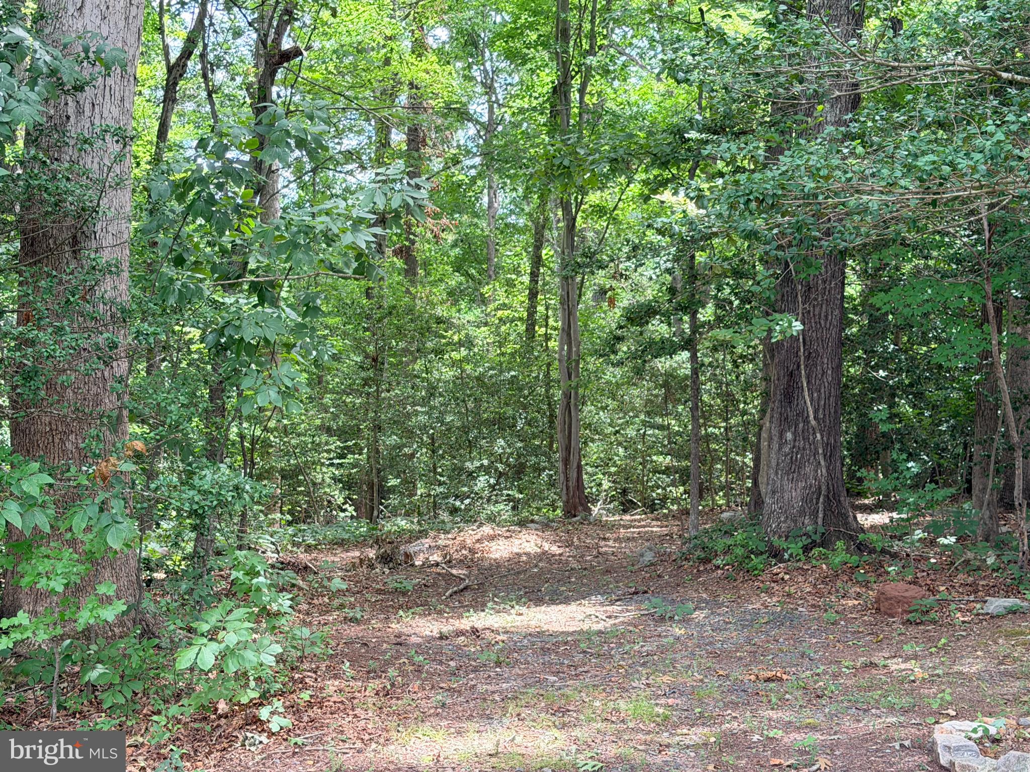 278 RICHLAND ROAD
