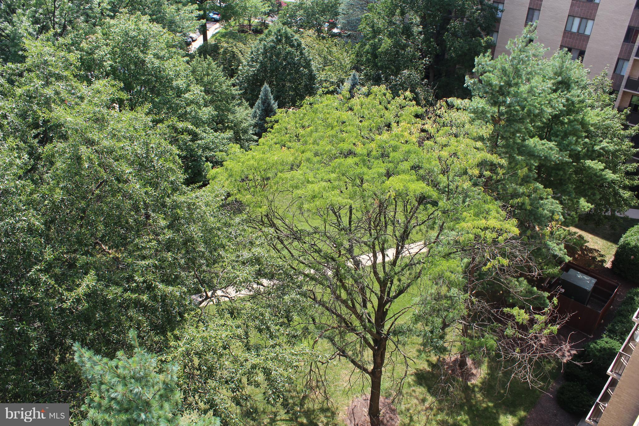 WOODLAKE TOWERS - Residential