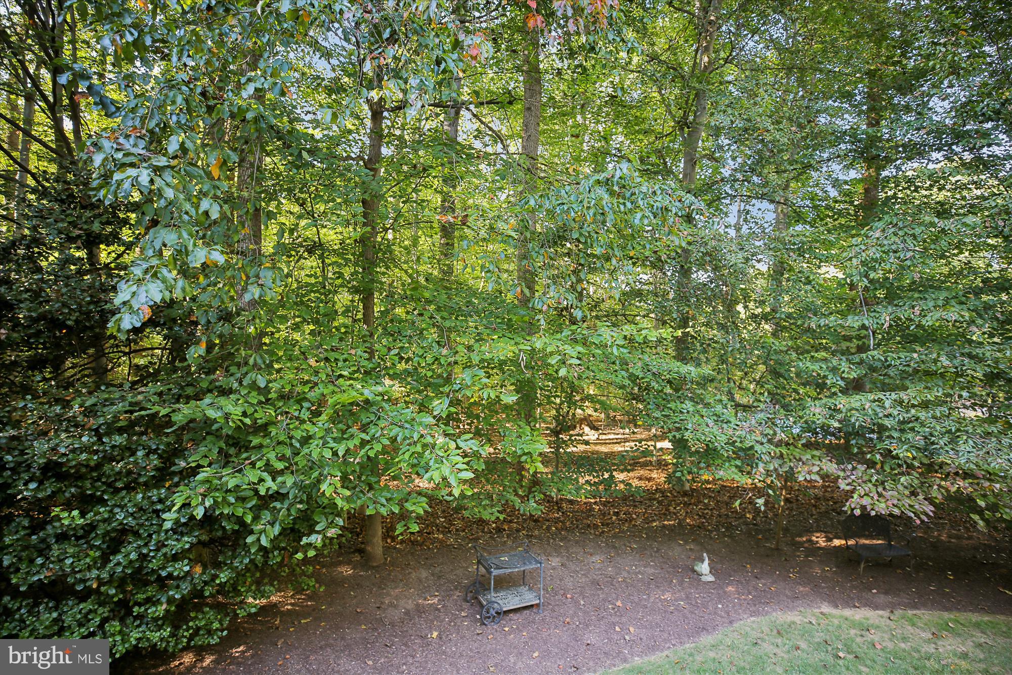 FALCONHURST - Residential Lease