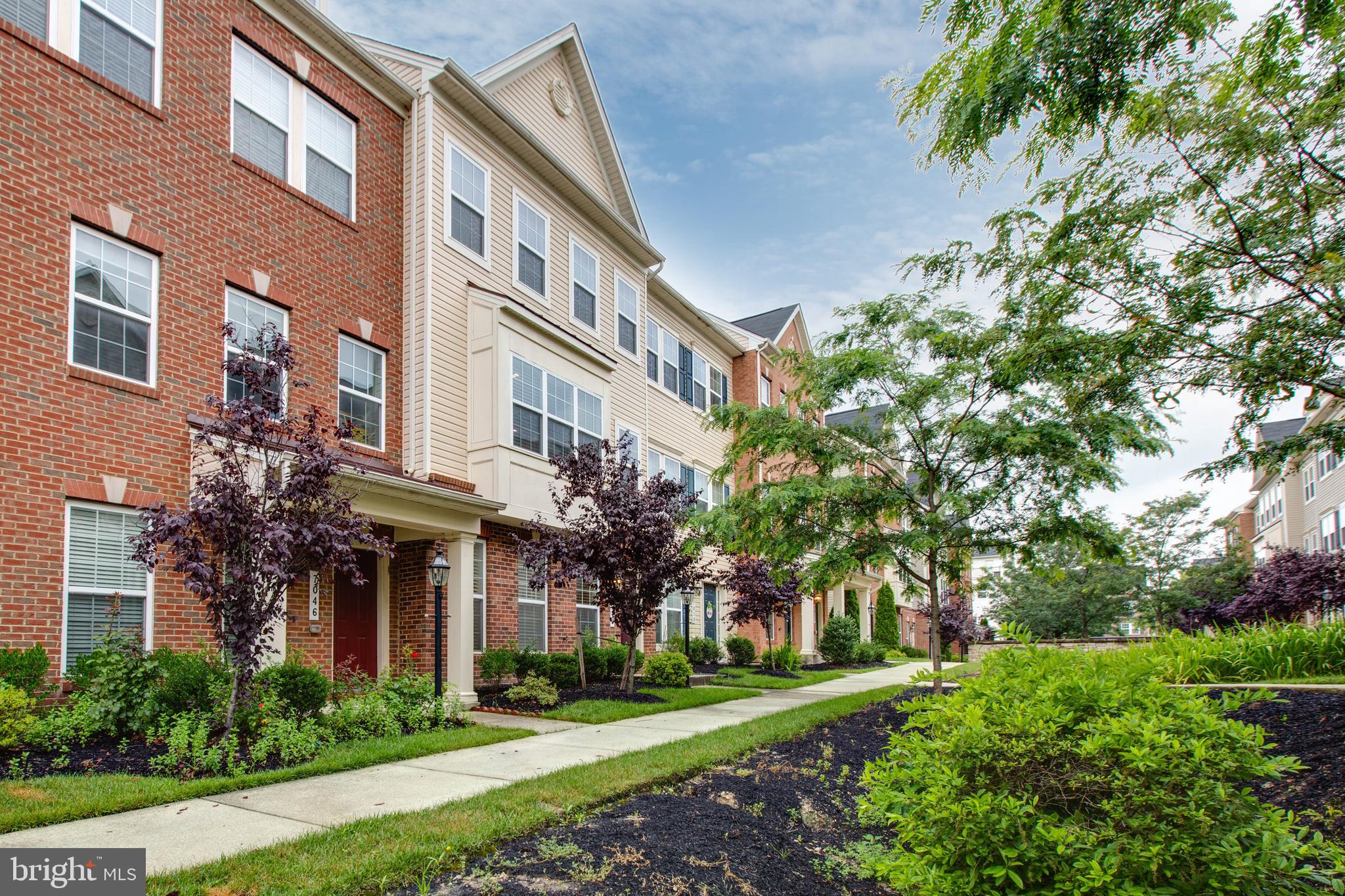 OXFORD SQUARE - Residential Lease