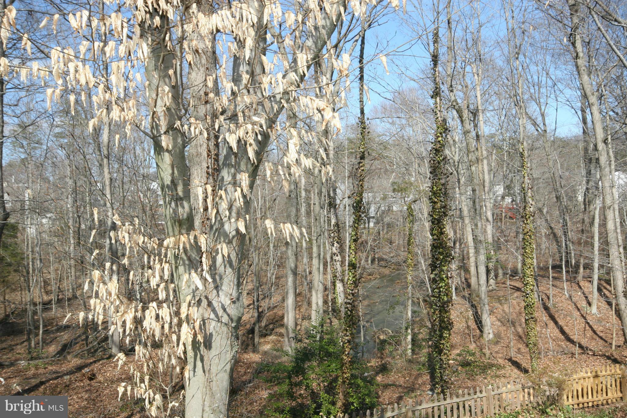 MONTCLAIR - Residential