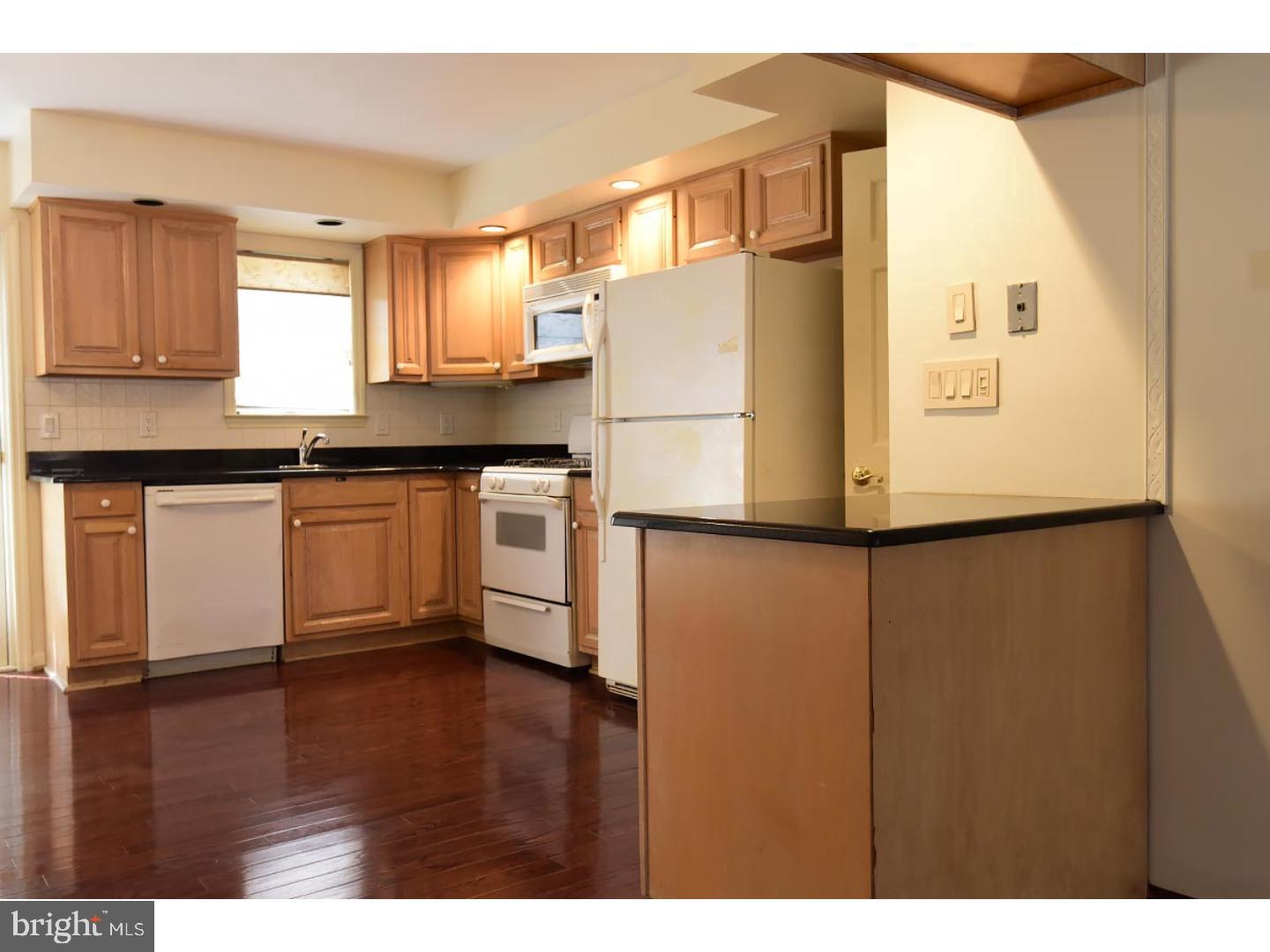 LOWER MOYAMENSING - Residential