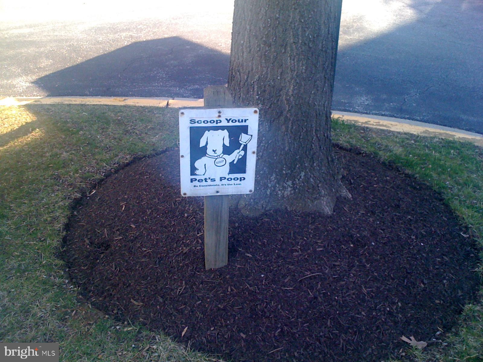 THE VINEYARDS CODM - Residential Lease