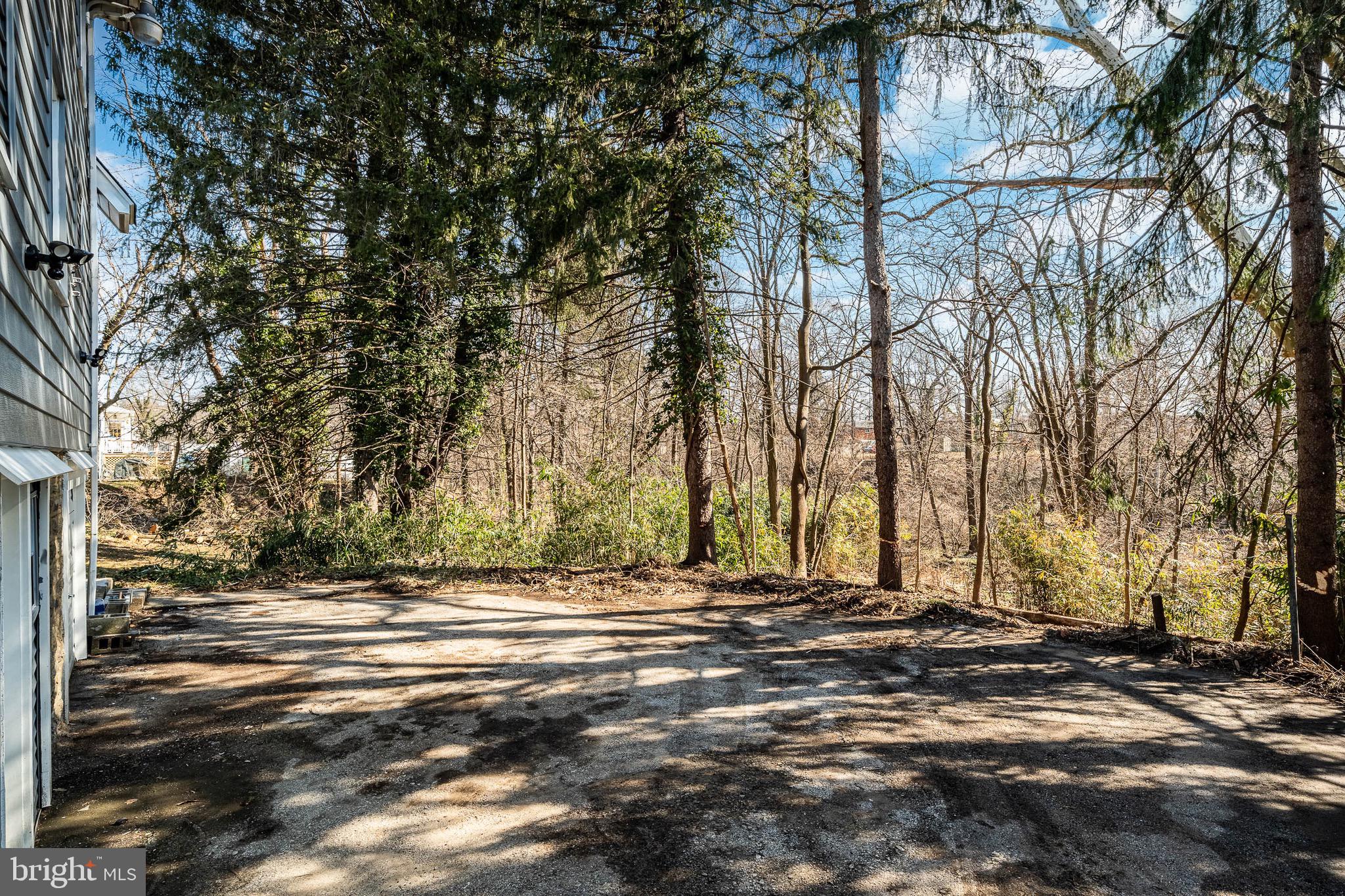 RIDLEY PARK - Residential