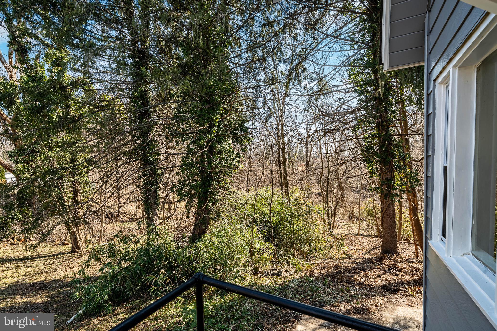 RIDLEY PARK - Residential