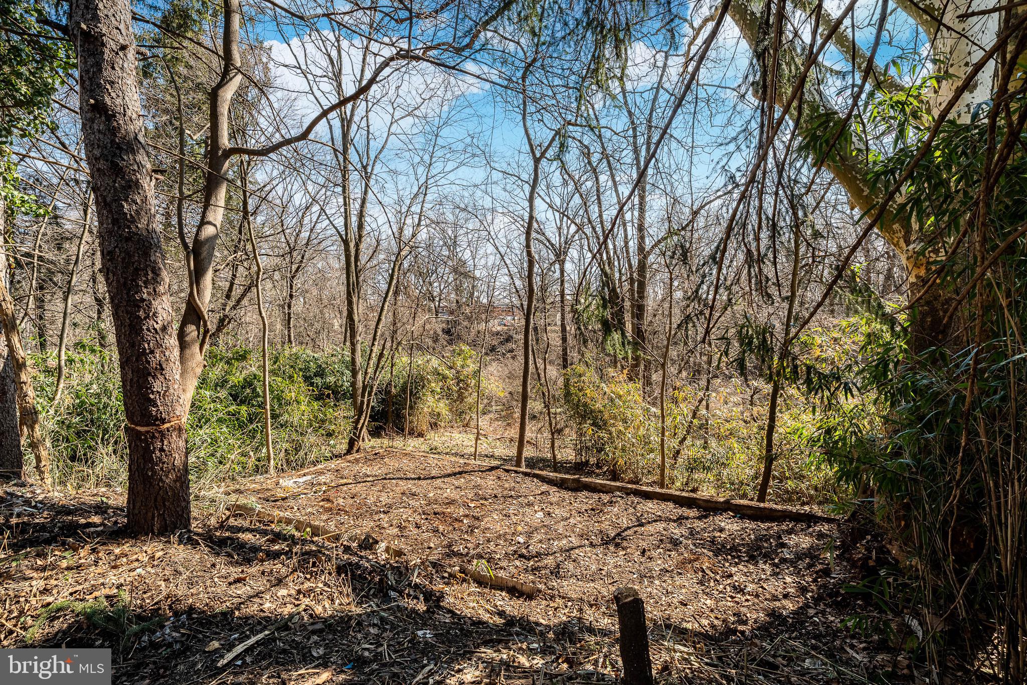 RIDLEY PARK - Residential